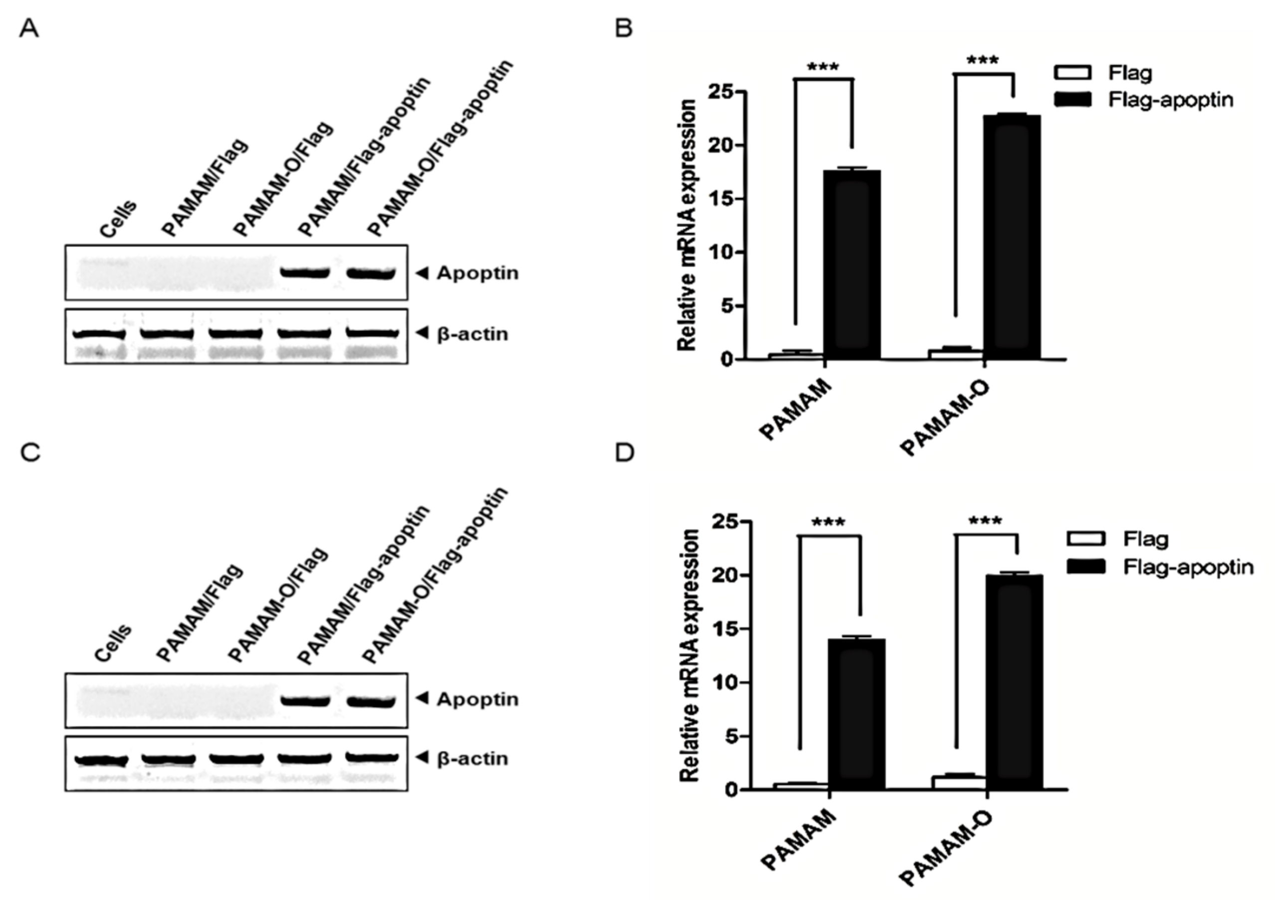 Polymers 09 00197 g005 550