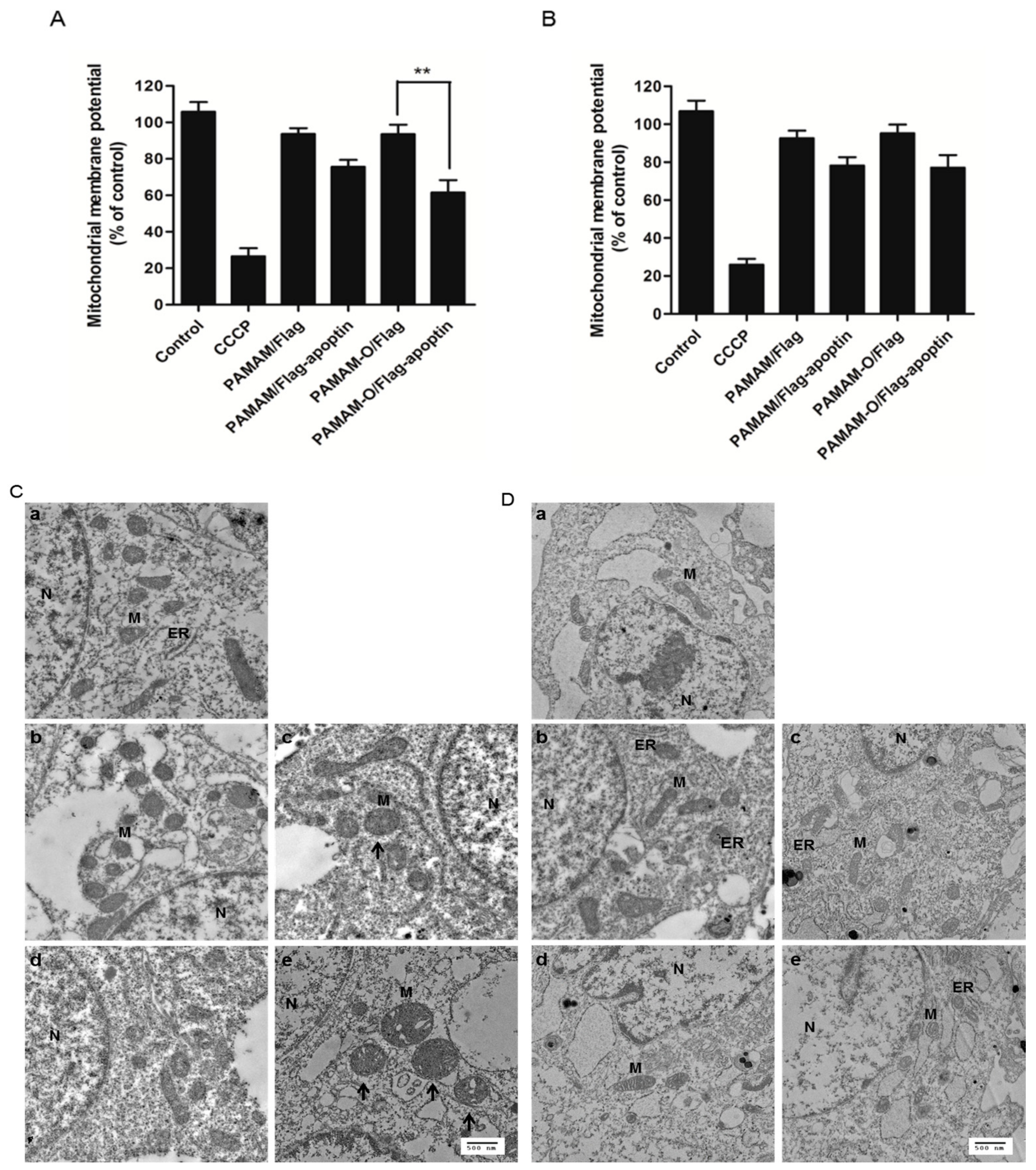 Polymers 09 00197 g009 550