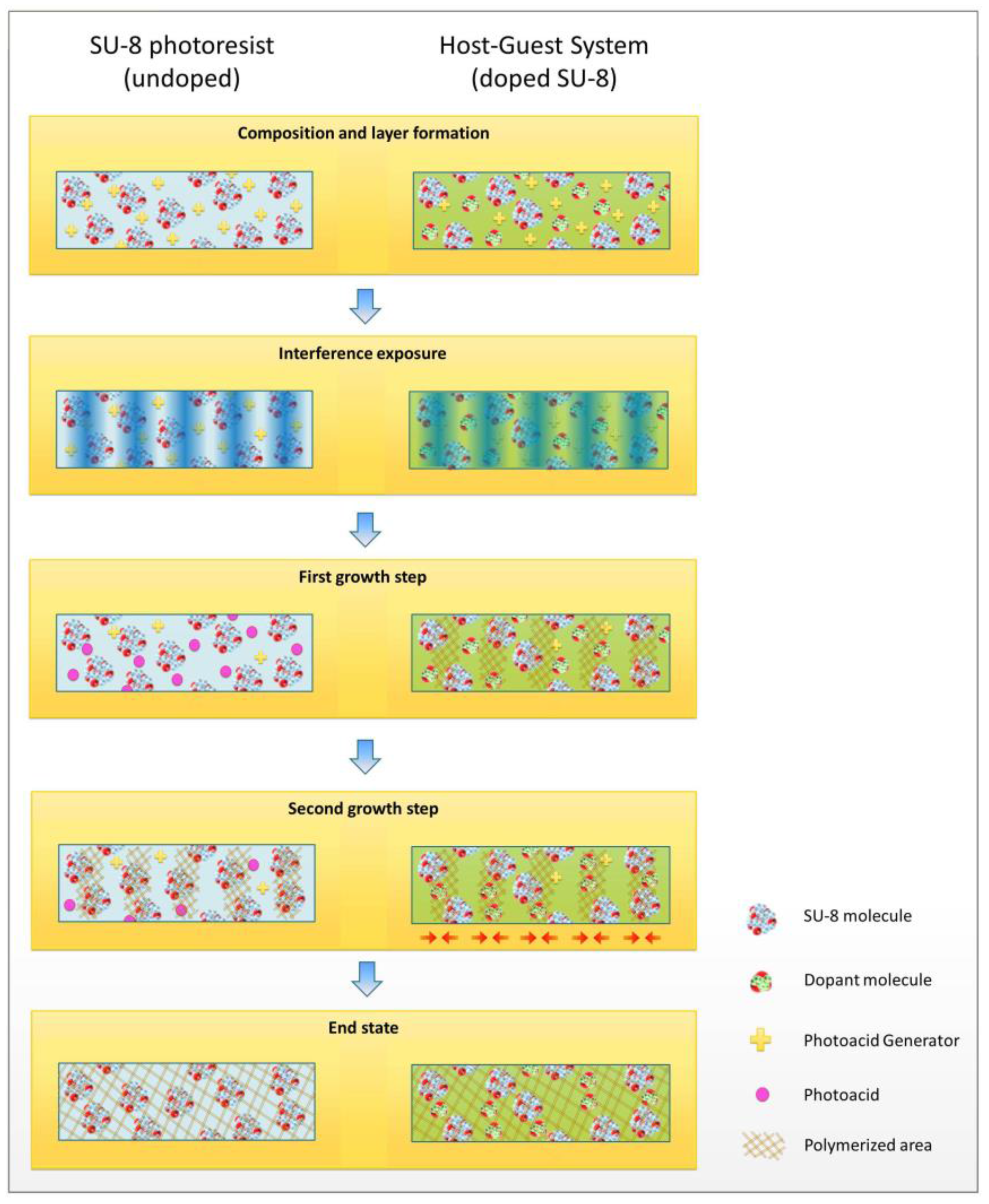 Polymers 09 00198 g008