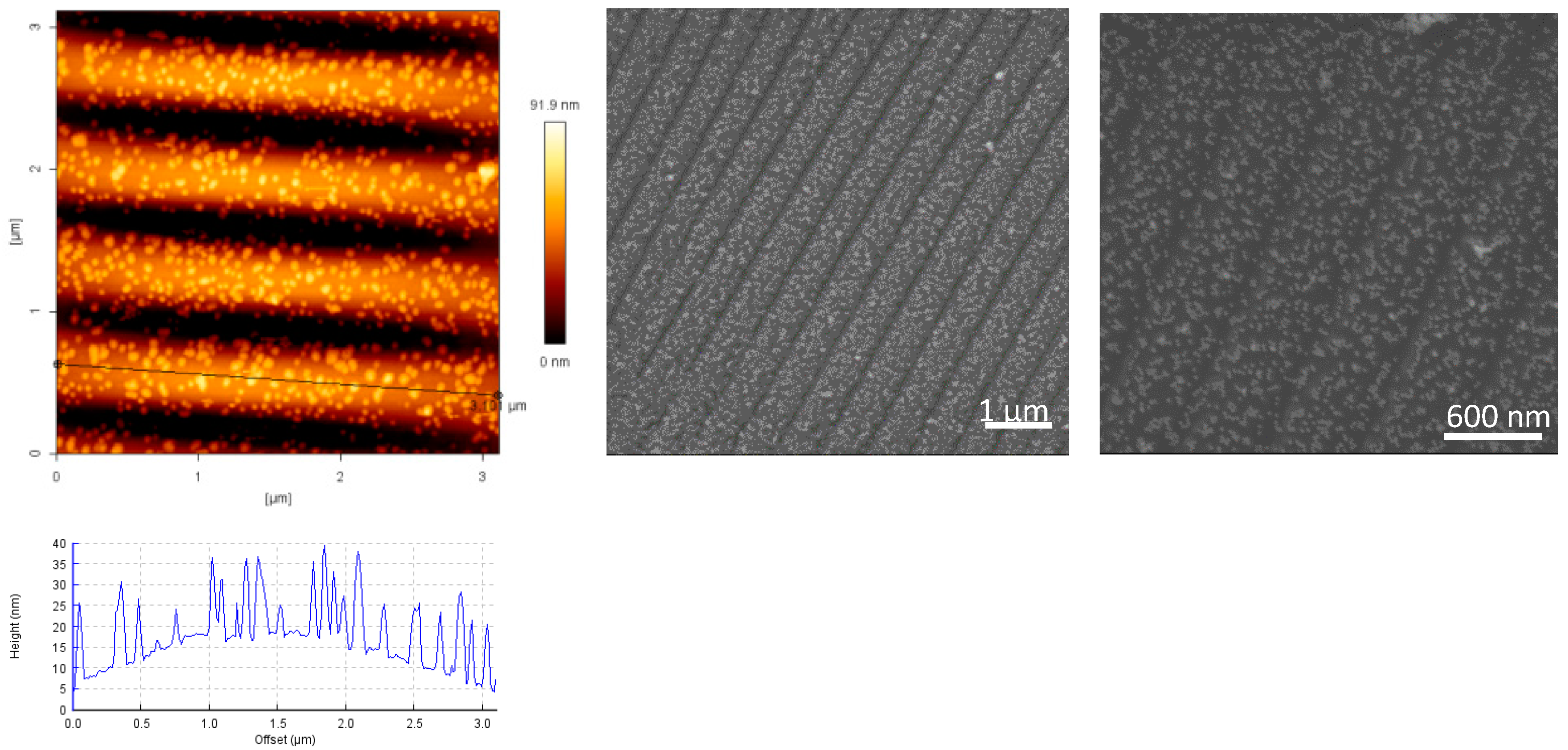 Polymers 09 00199 g006 550