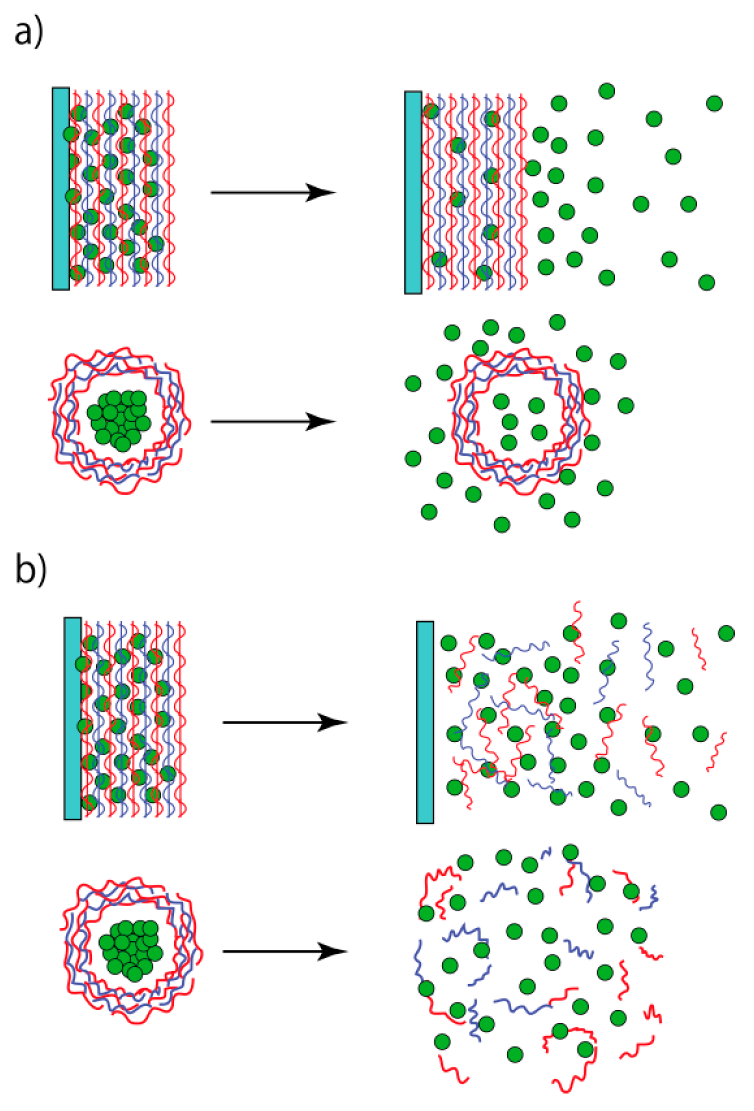 Polymers 09 00202 g009