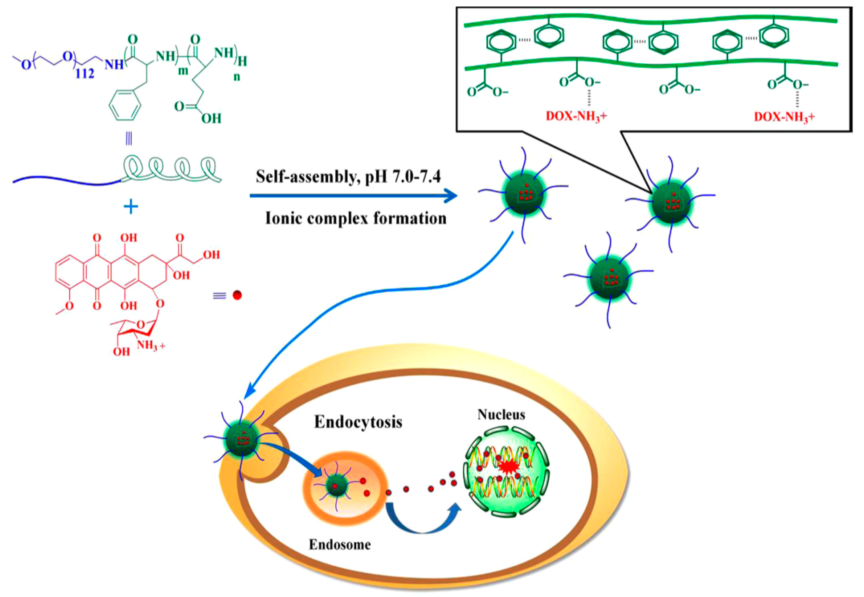 Polymers 09 00208 g005 550