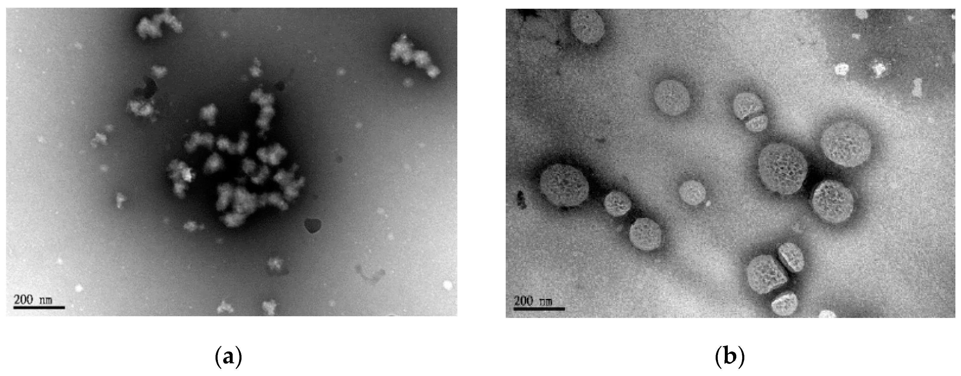Polymers 09 00213 g006 550