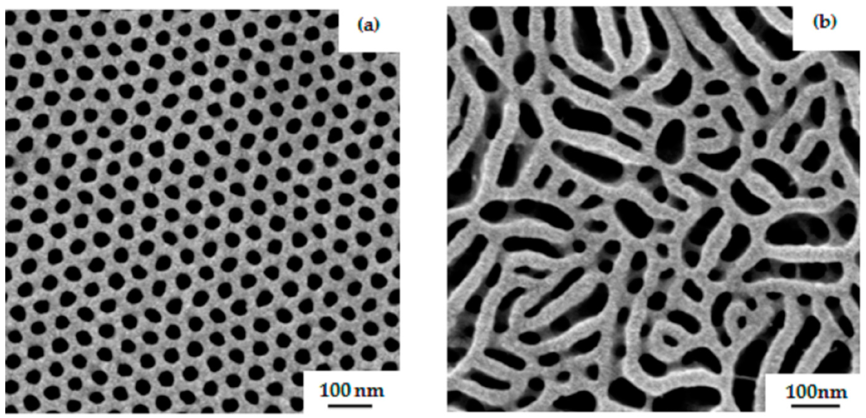 Polymers 09 00216 g010 550