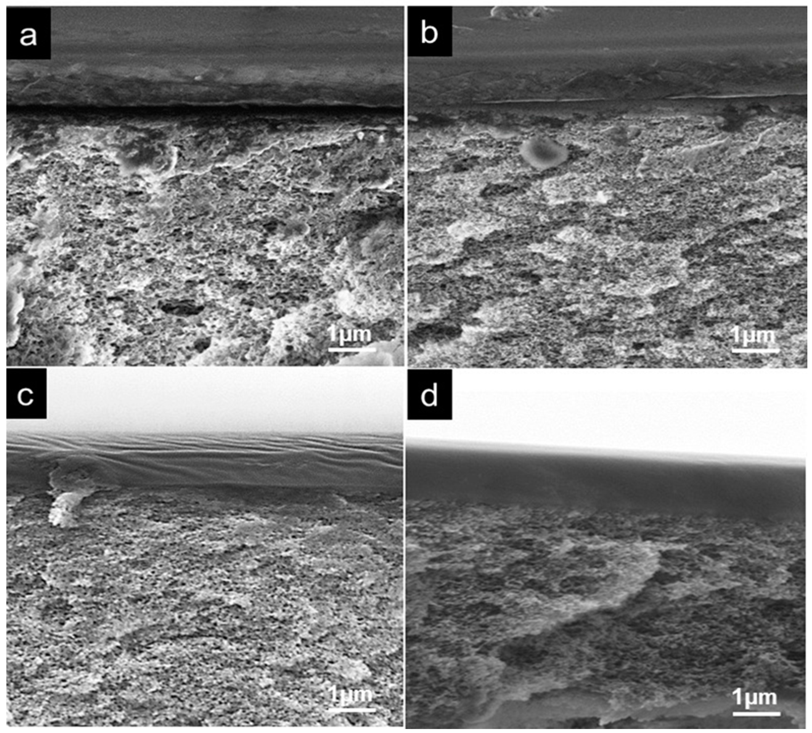 Polymers 09 00219 g007