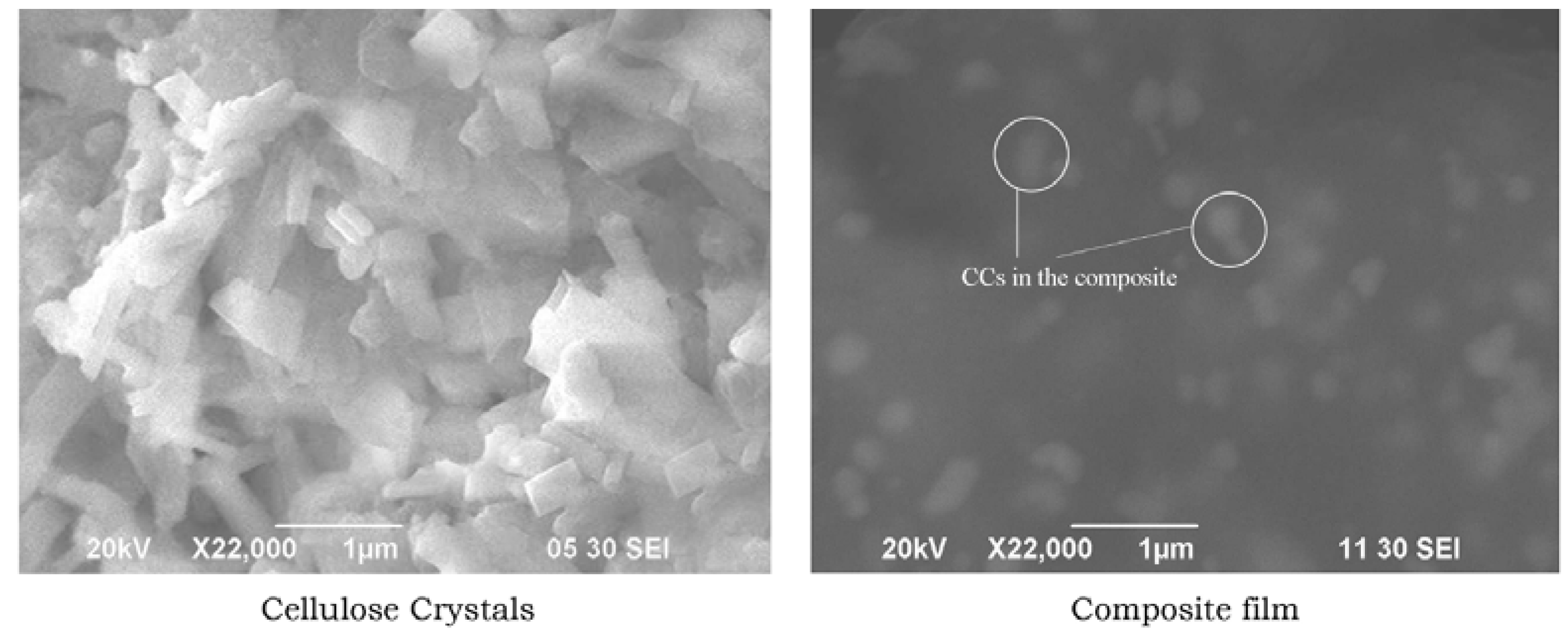 Polymers 09 00222 g001 550
