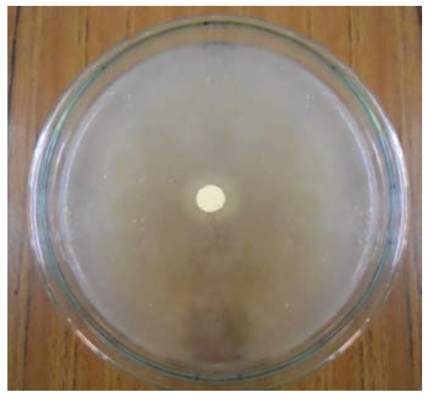 Polymers 09 00222 g007 550