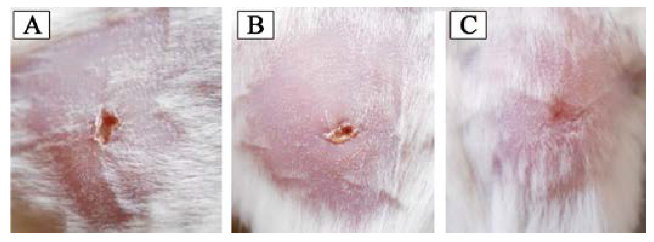 Polymers 09 00222 g008 550