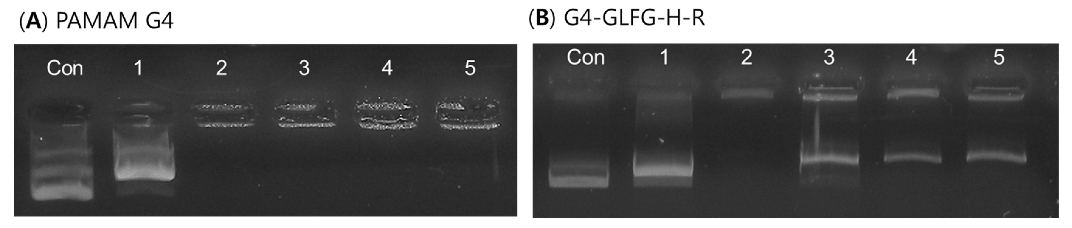 Polymers 09 00224 g007 550
