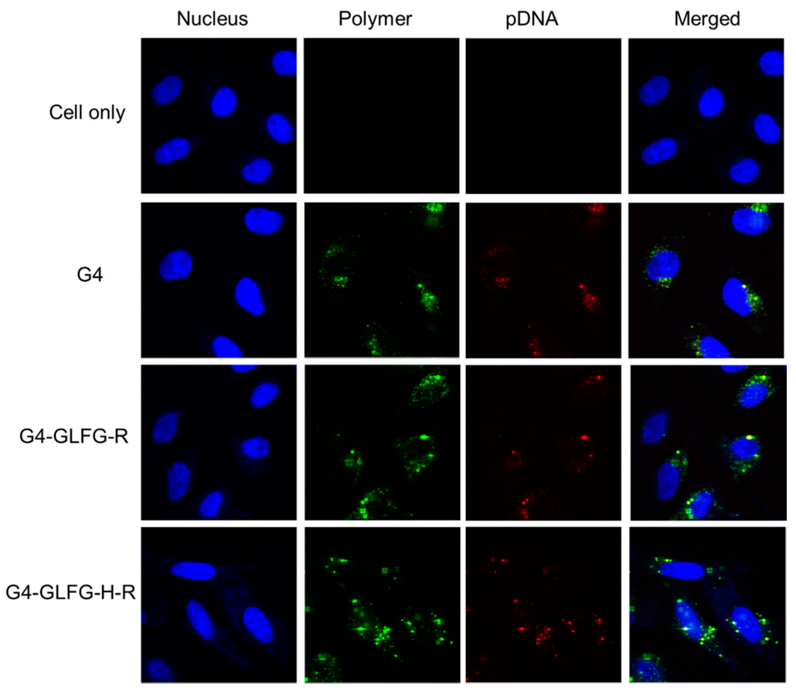 Polymers 09 00224 g009 550