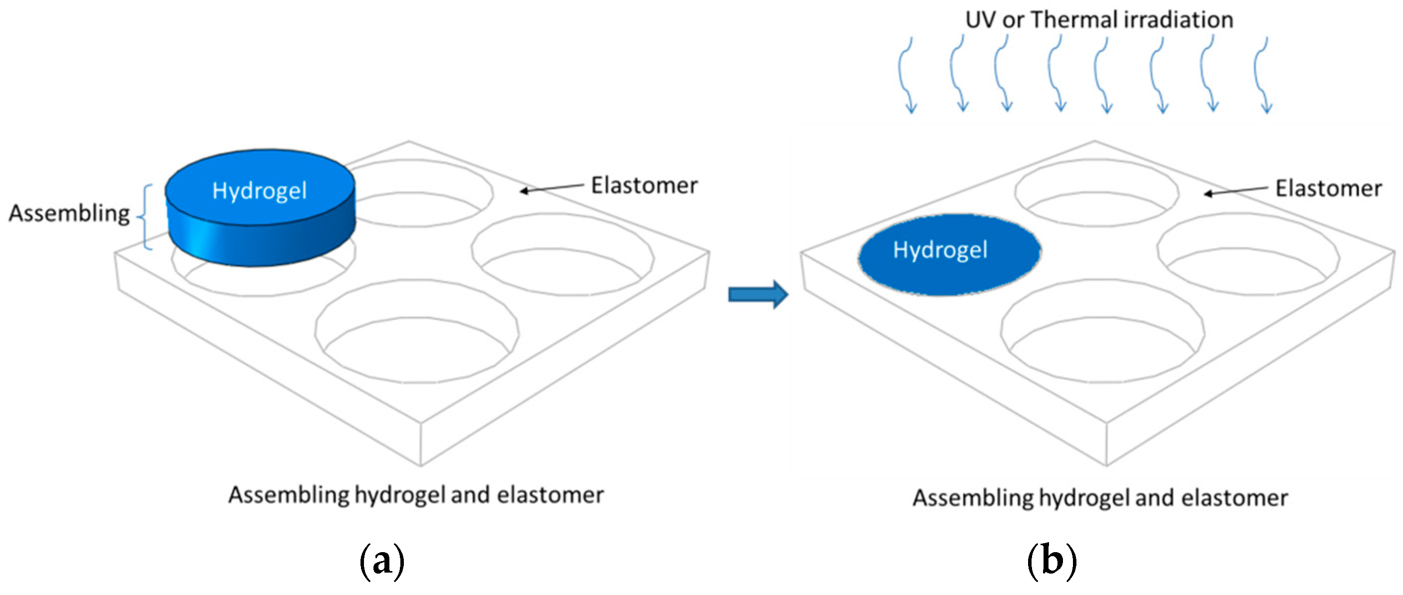 Polymers 09 00229 g009