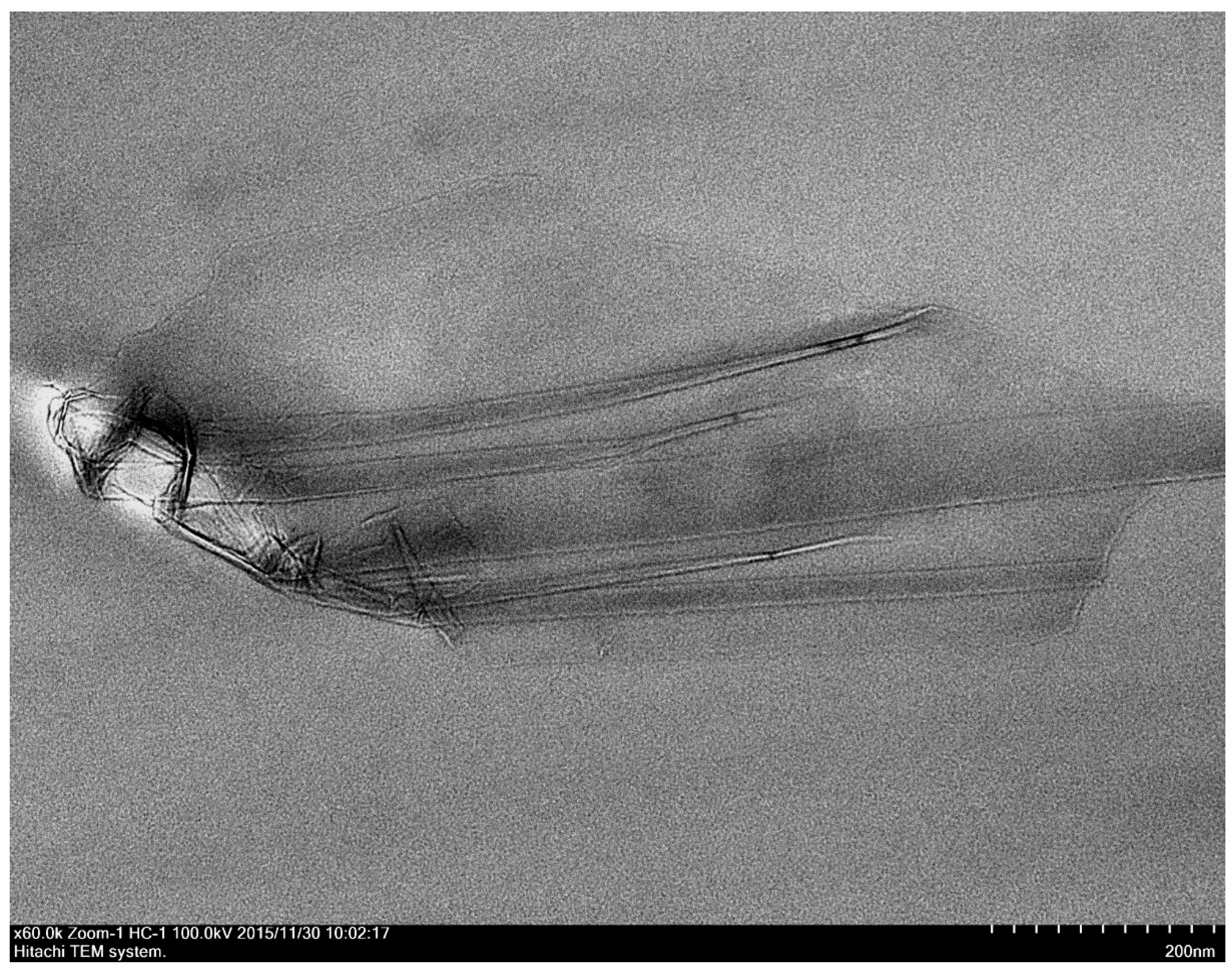 Polymers 09 00230 g013