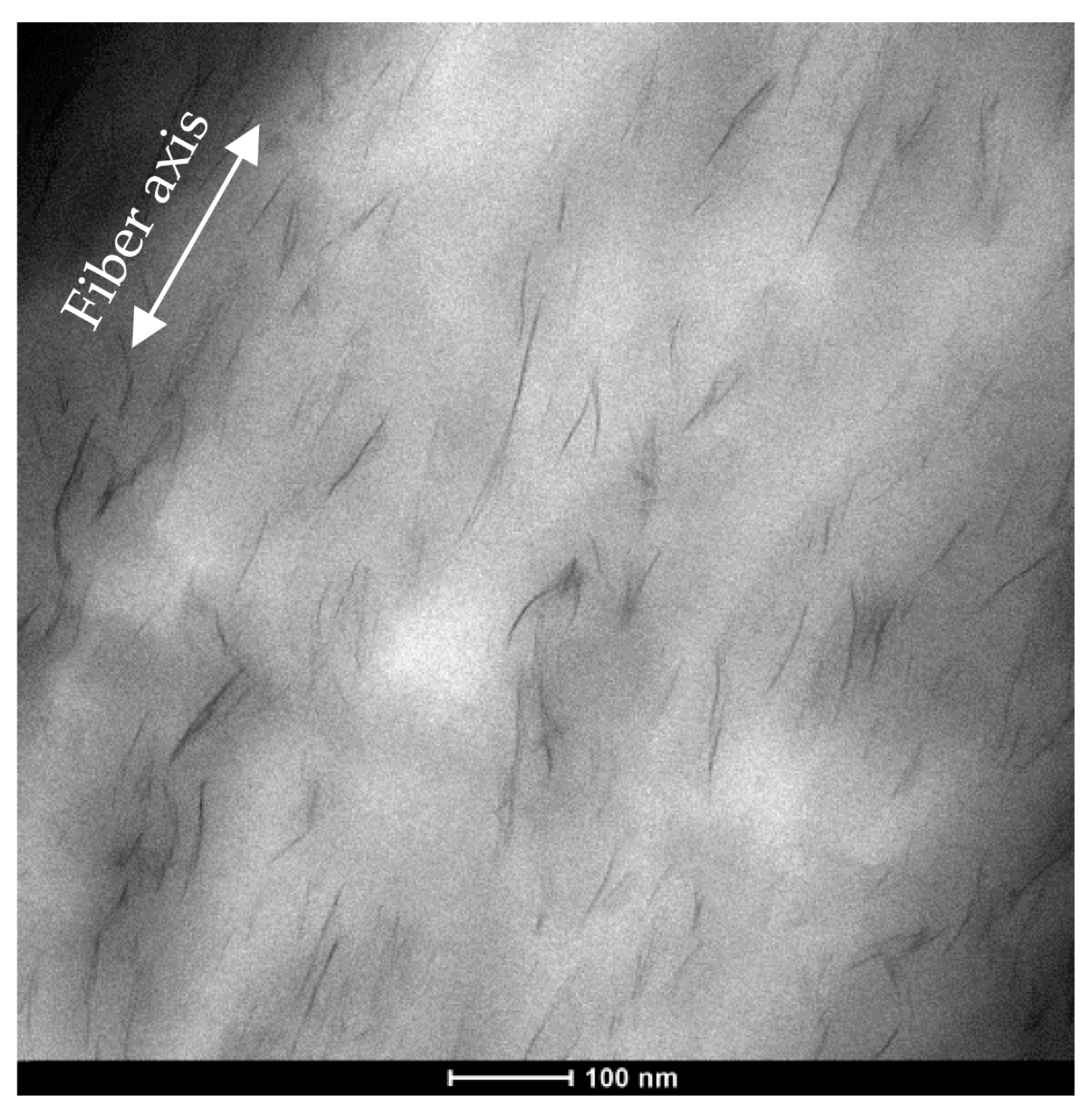 Polymers 09 00235 g003 550