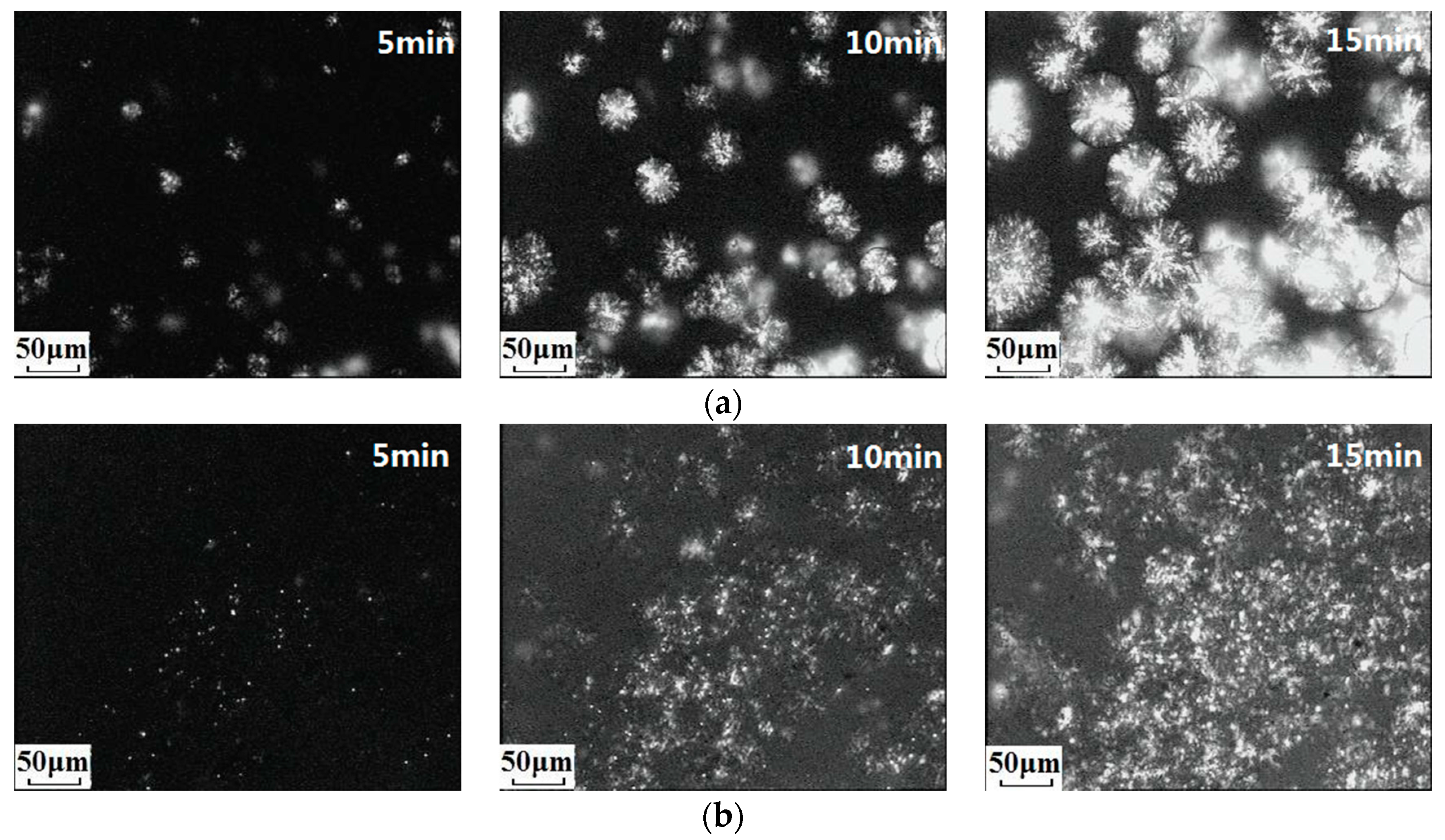 Polymers 09 00236 g002
