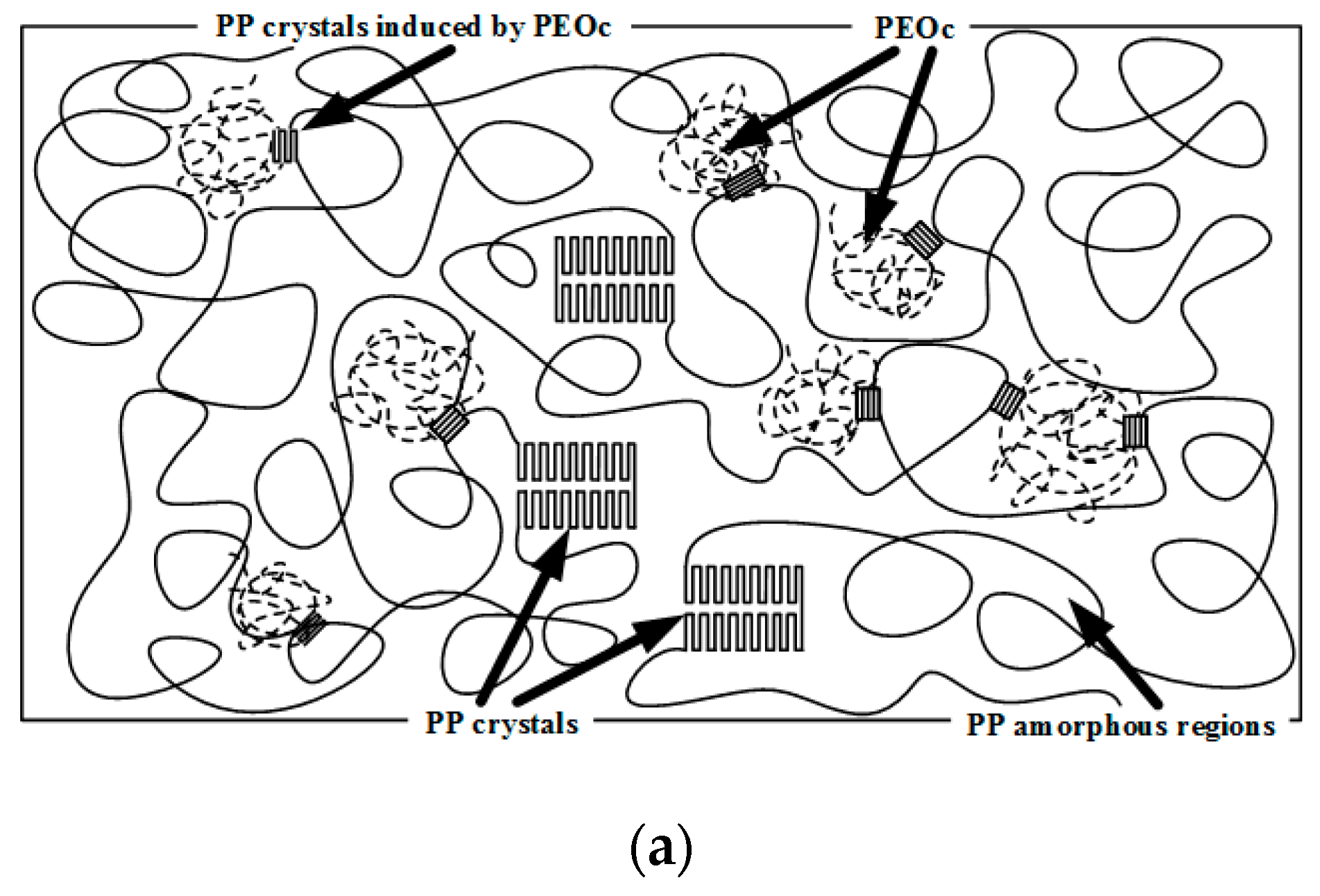 Polymers 09 00236 sch001a