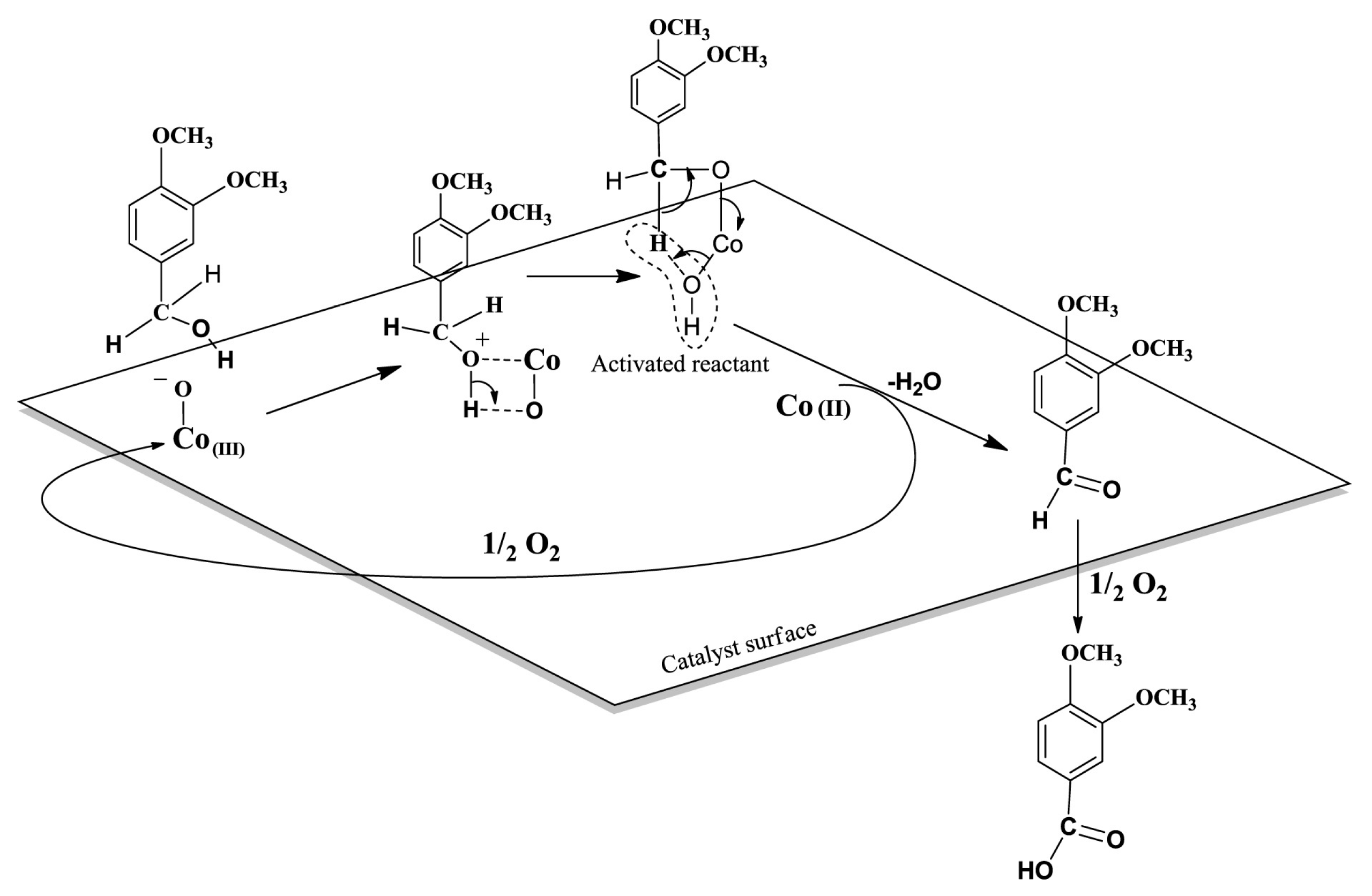 Polymers 09 00240 sch001