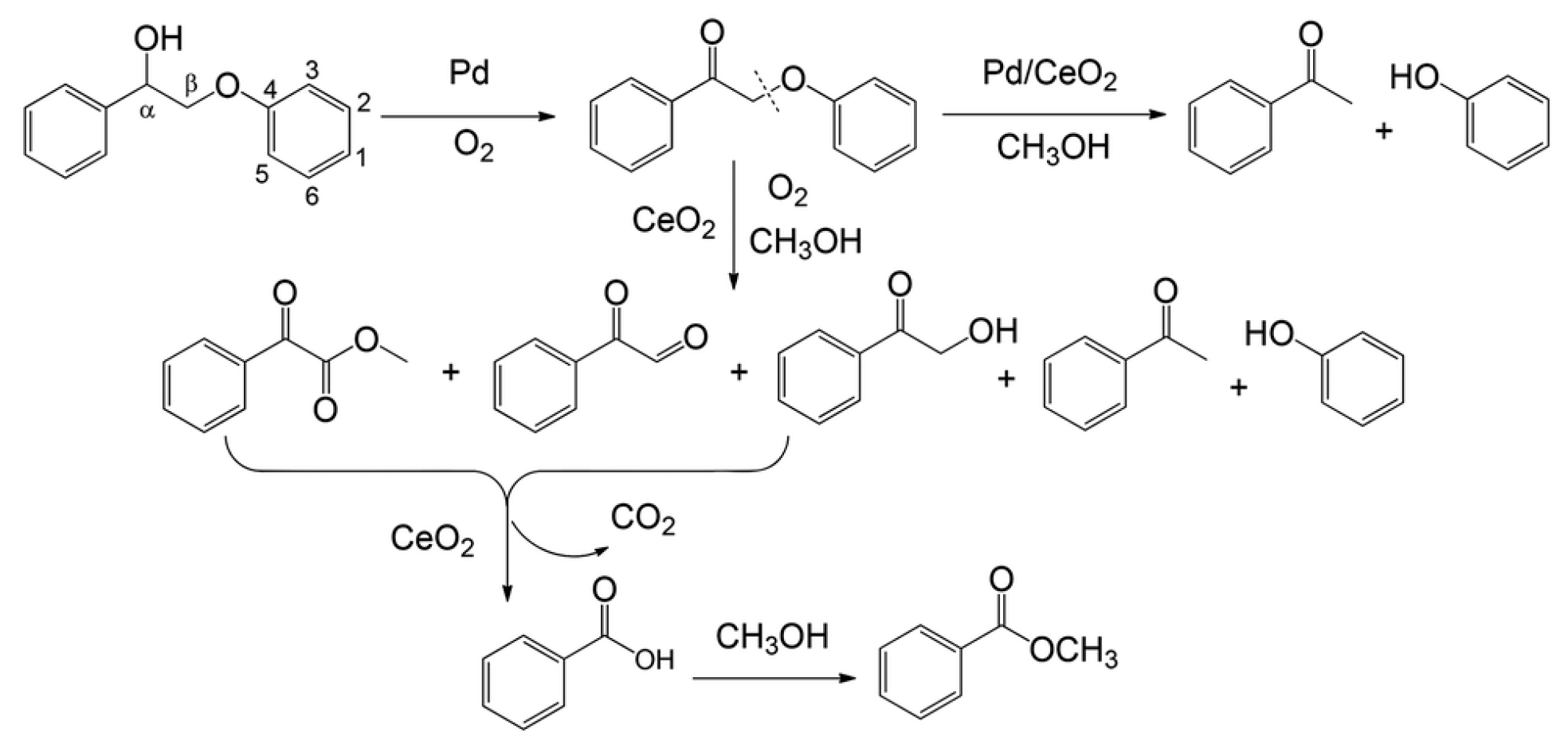 Polymers 09 00240 sch003