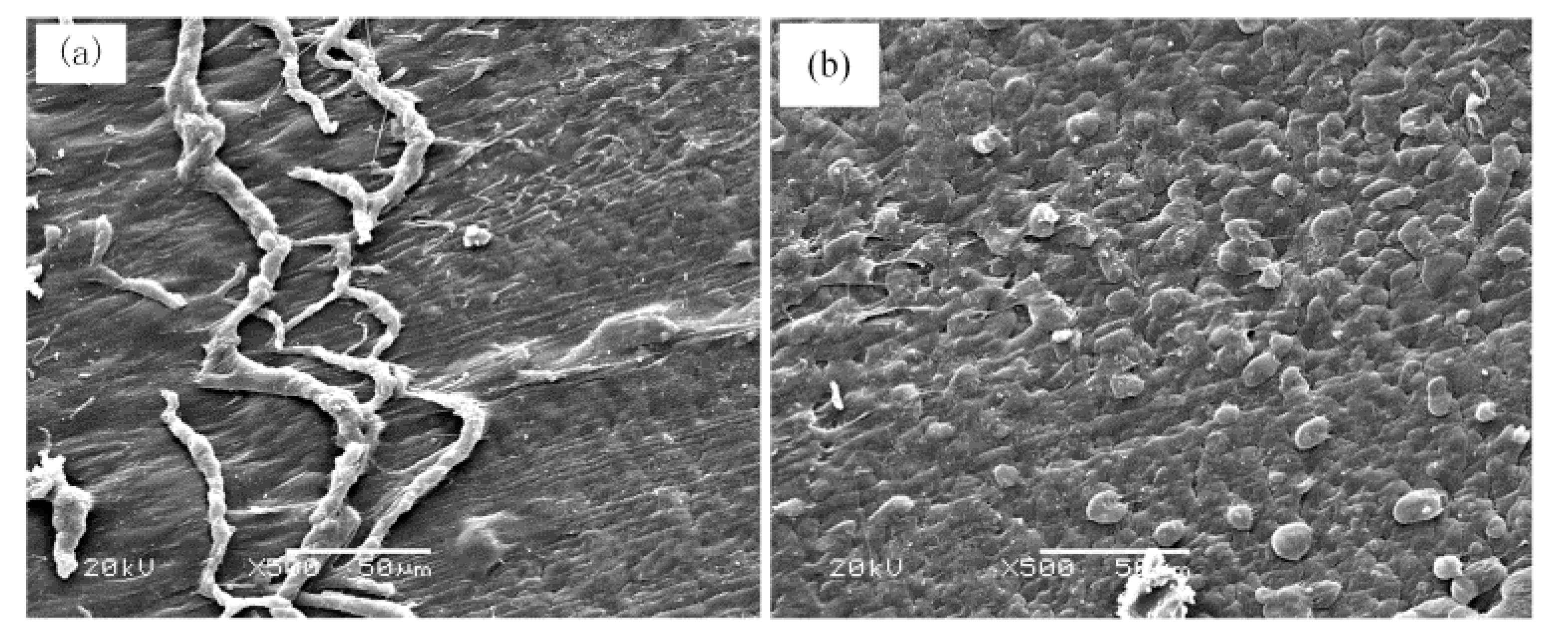 Polymers Free FullText Fracture Failure Mechanisms of Long Single