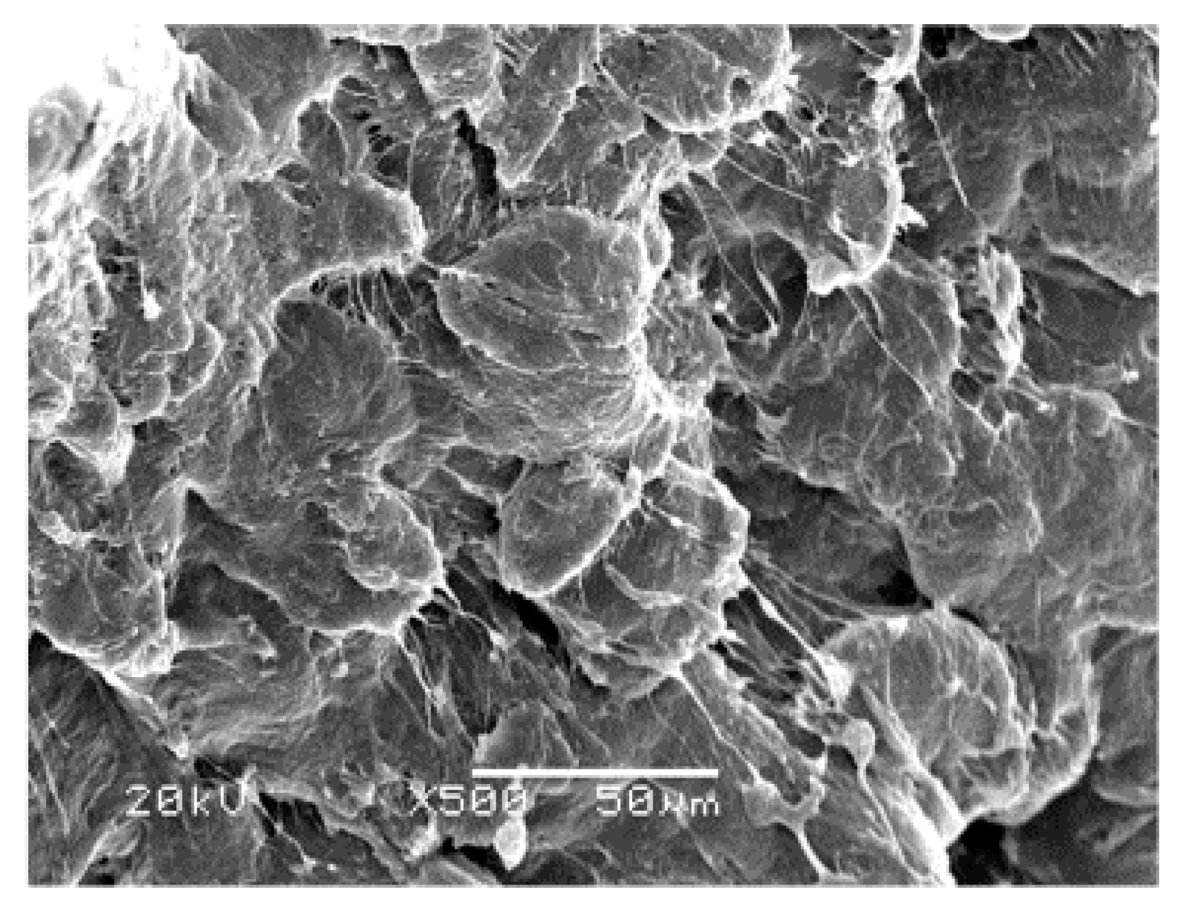 Polymers Free FullText Fracture Failure Mechanisms of Long Single