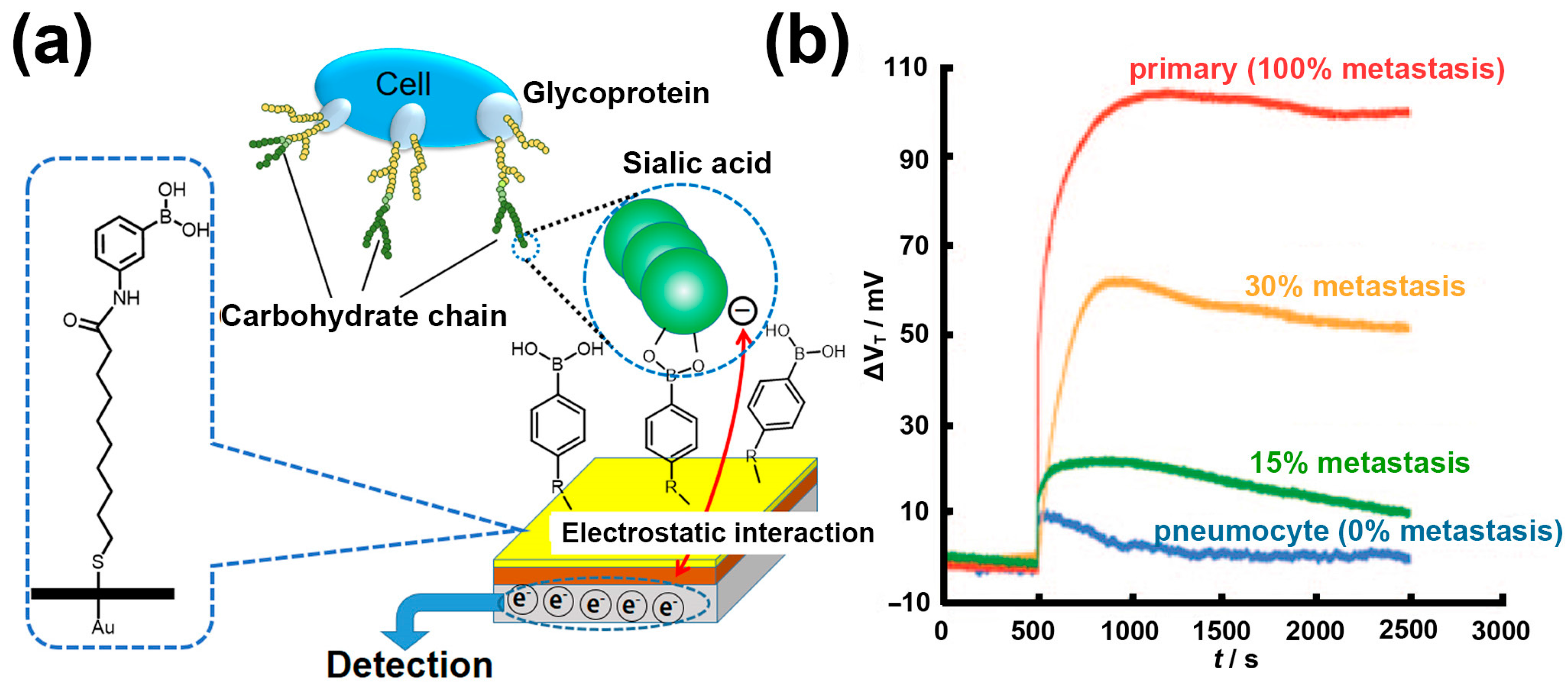 Polymers 09 00249 g004