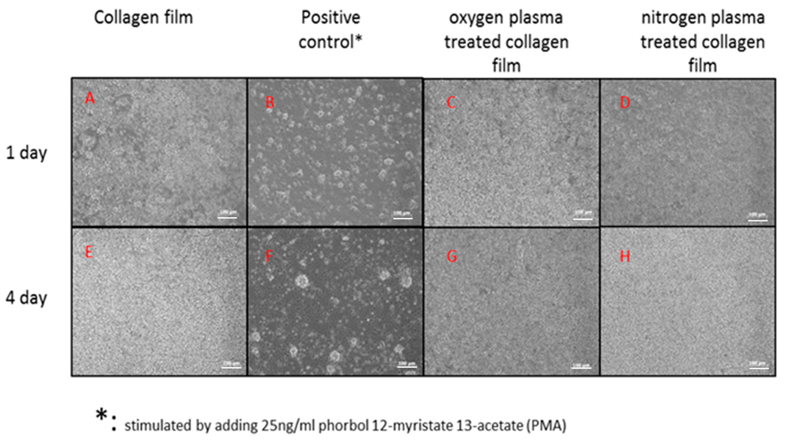 Polymers 09 00254 g003 550