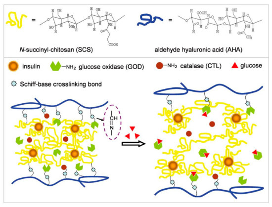 Glucose Oxidase-Based Glucose-Sensitive Drug Delivery for Diabetes ...