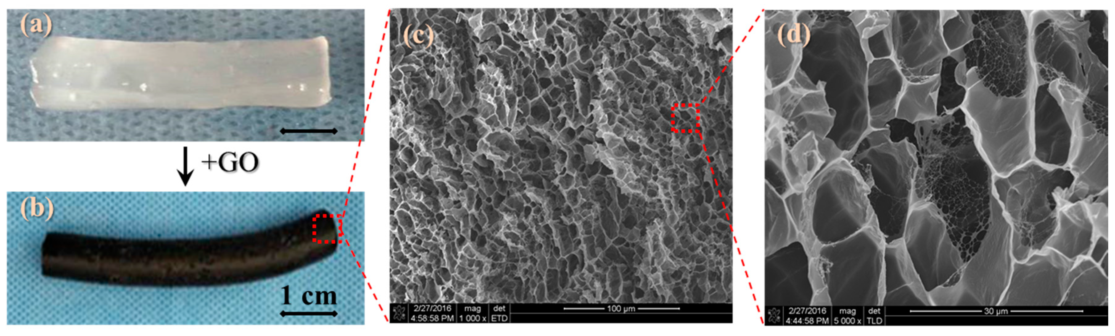 Polymers 09 00259 g002 550