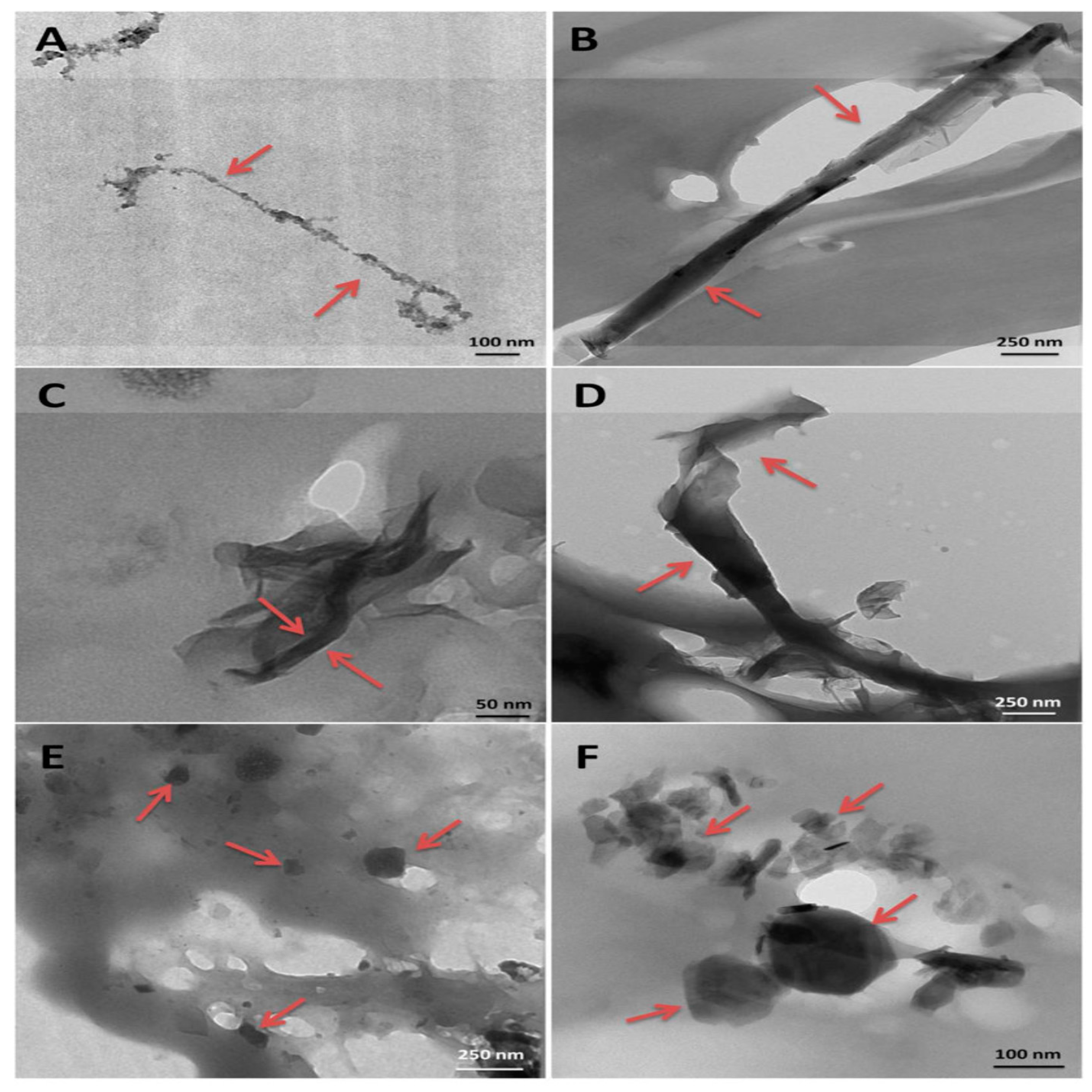 Polymers 09 00260 g006