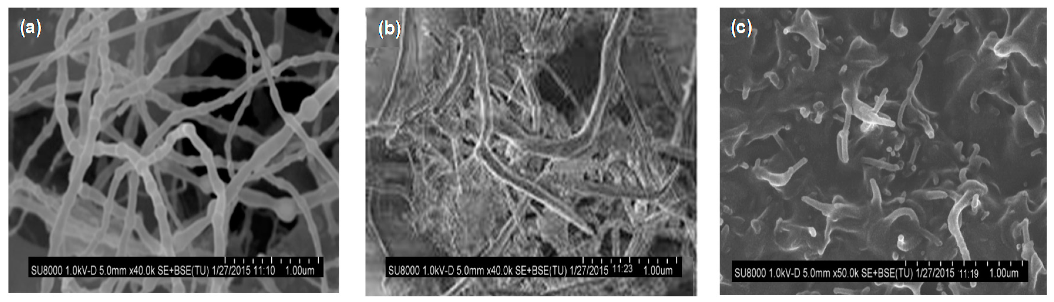 Polymers 09 00260 g007