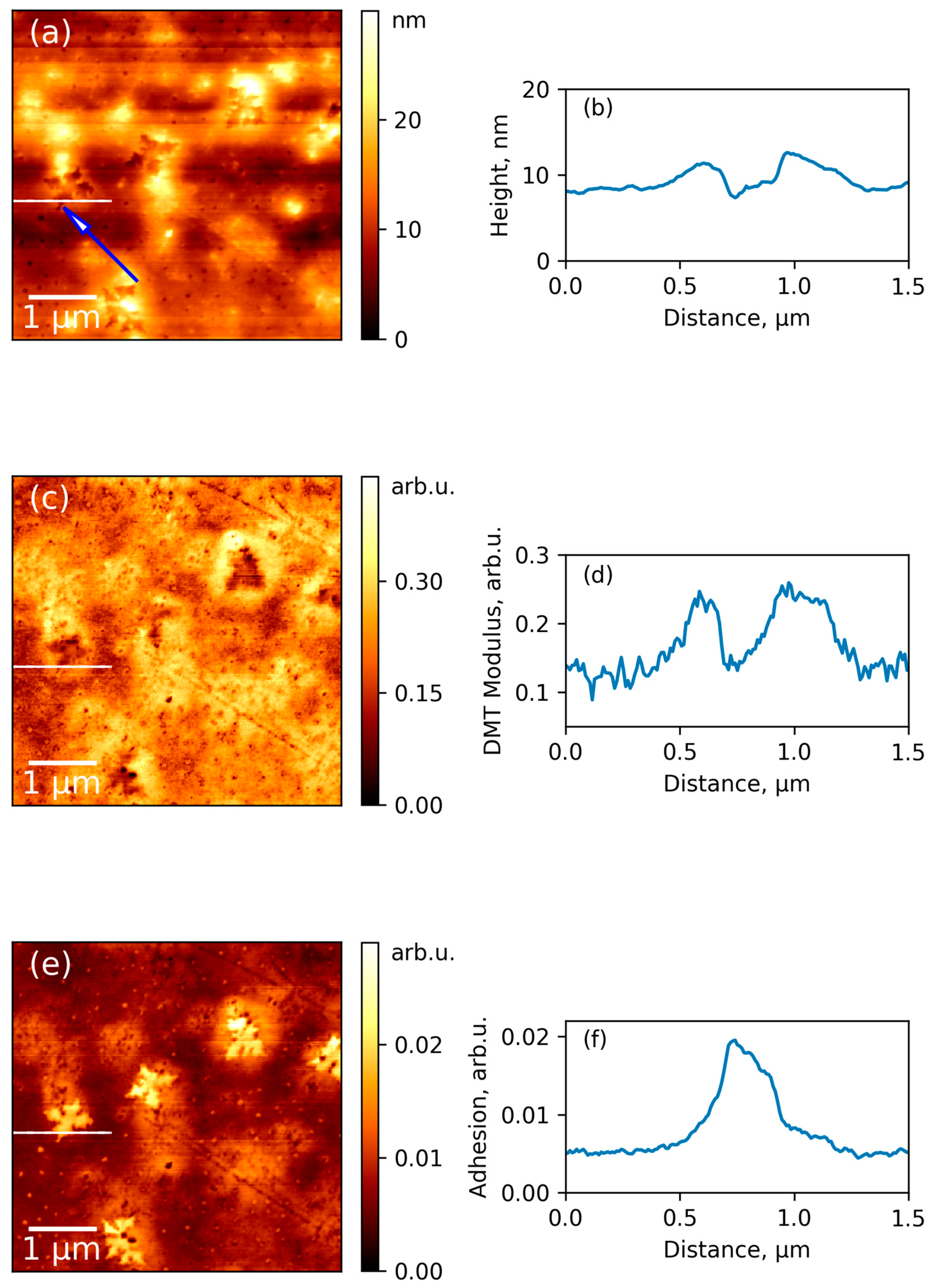 Polymers 09 00268 g007