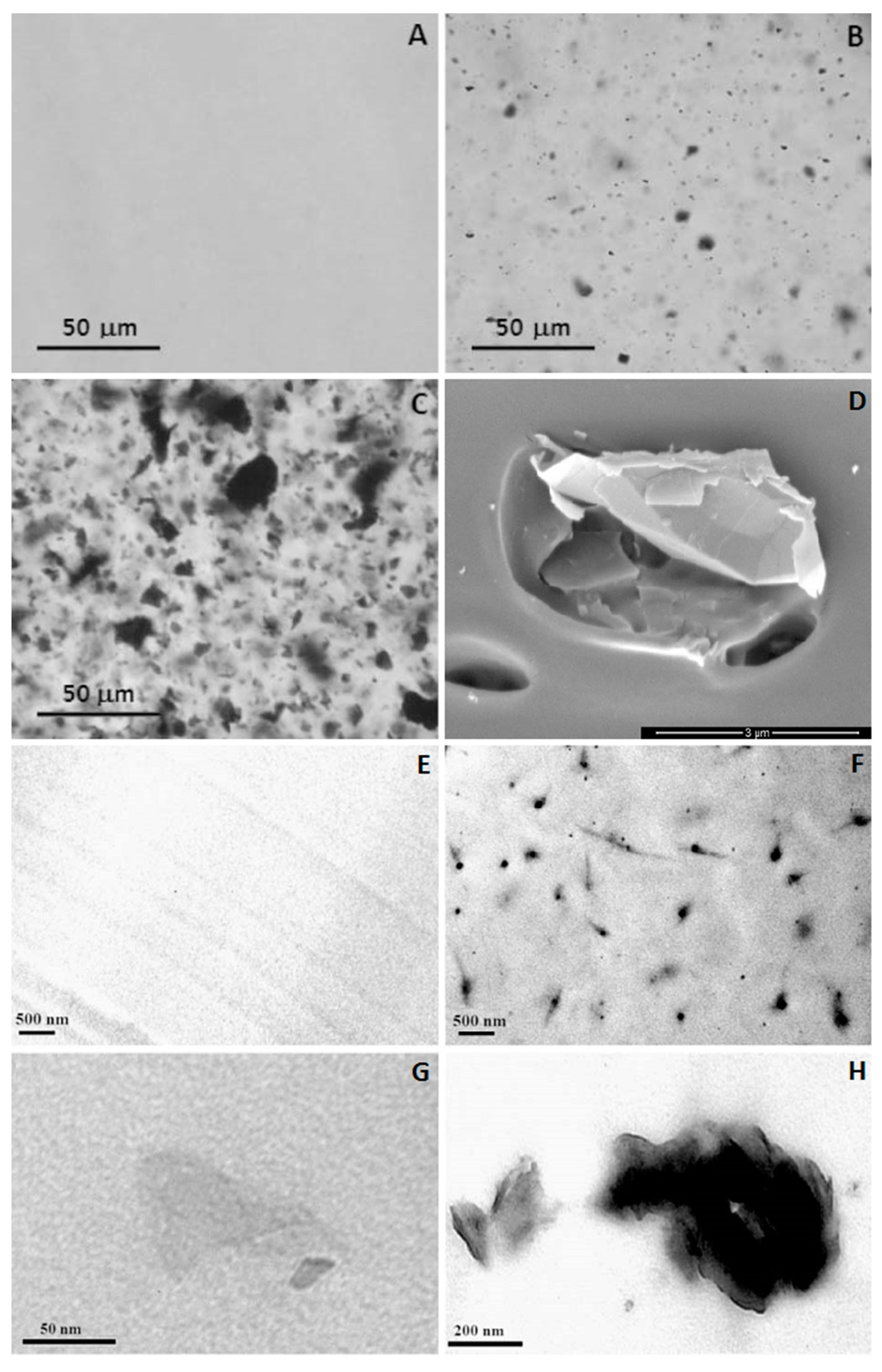 Poly(lactic acid) Composites Containing Carbon-Based