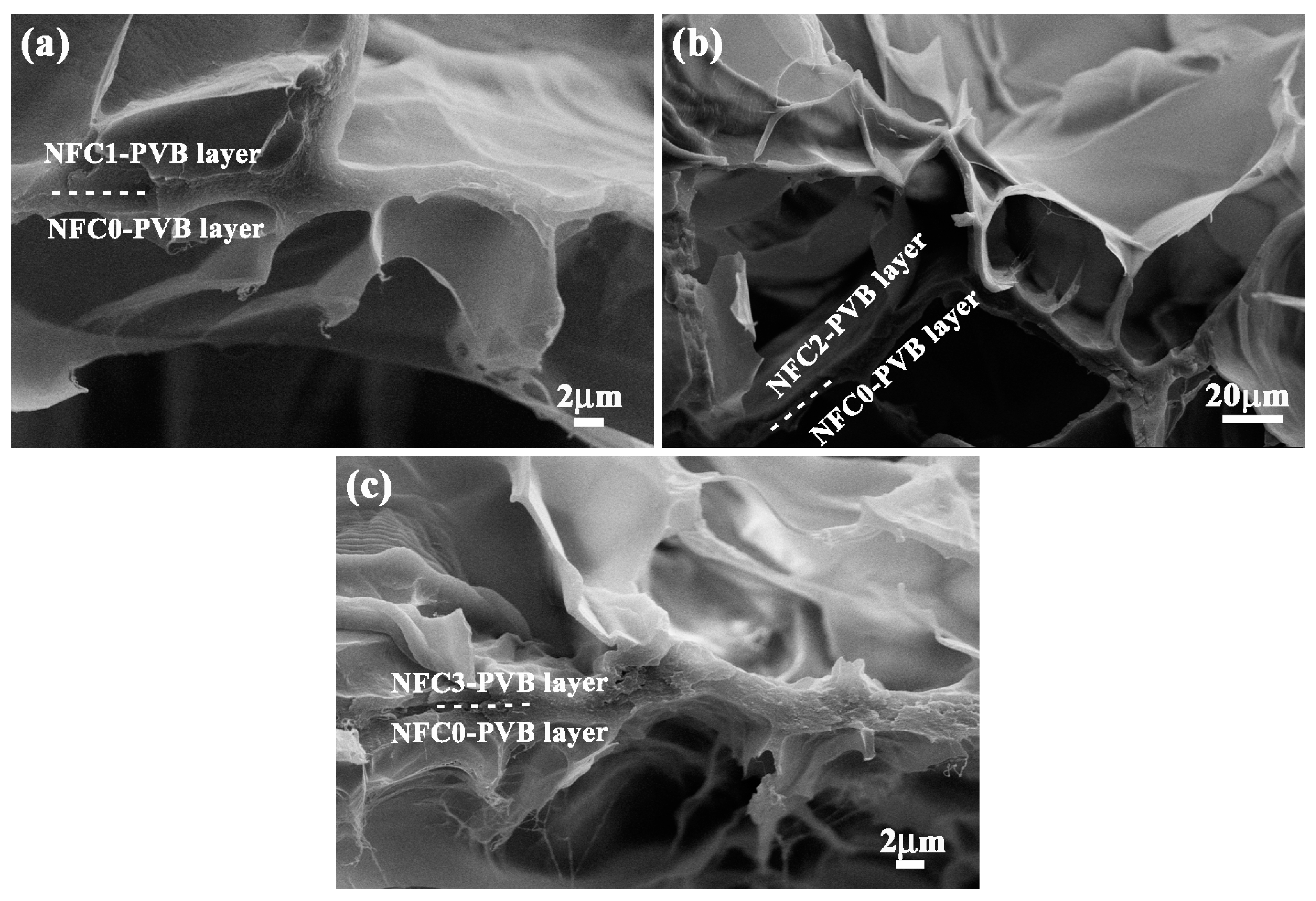 Polymers 09 00270 g006