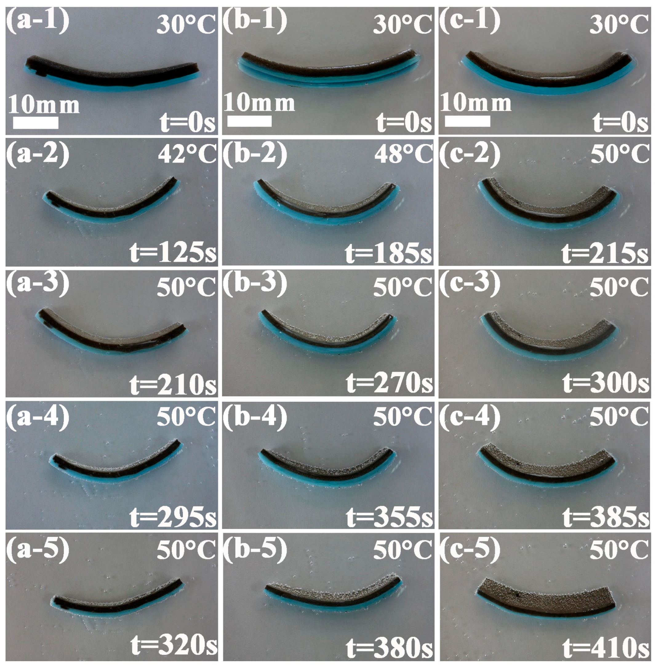 Polymers 09 00270 g007