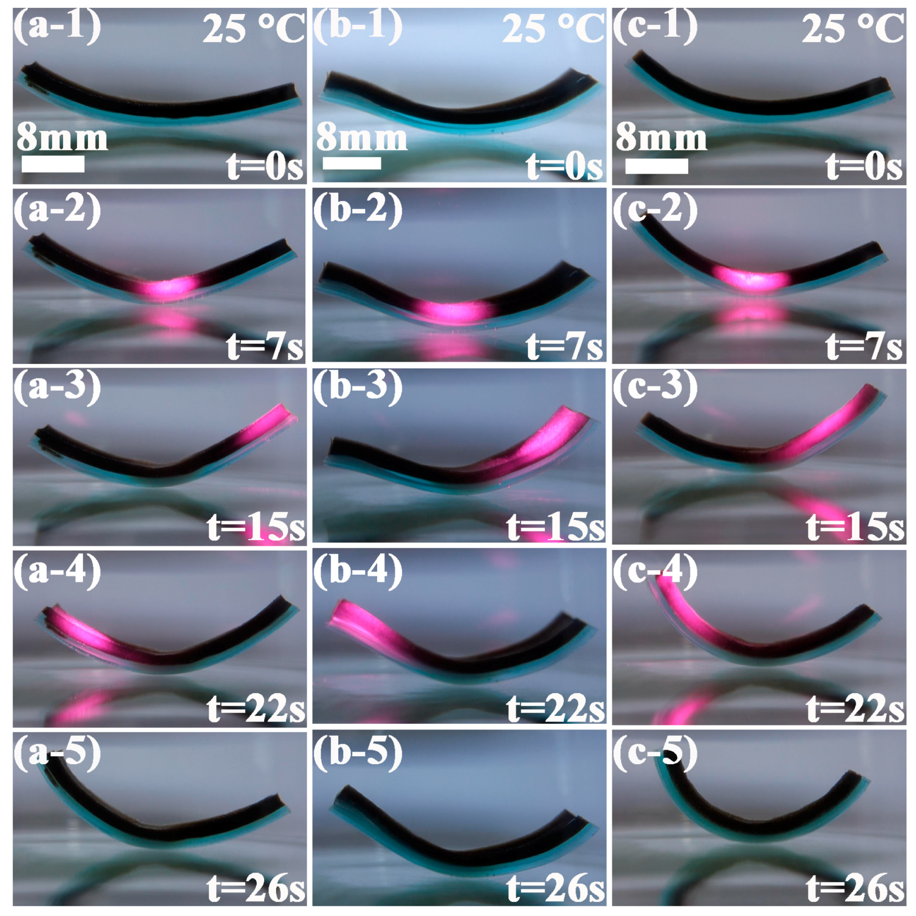 Polymers 09 00270 g009