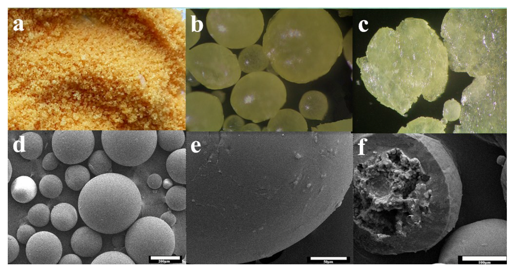 Polymers 09 00274 g007