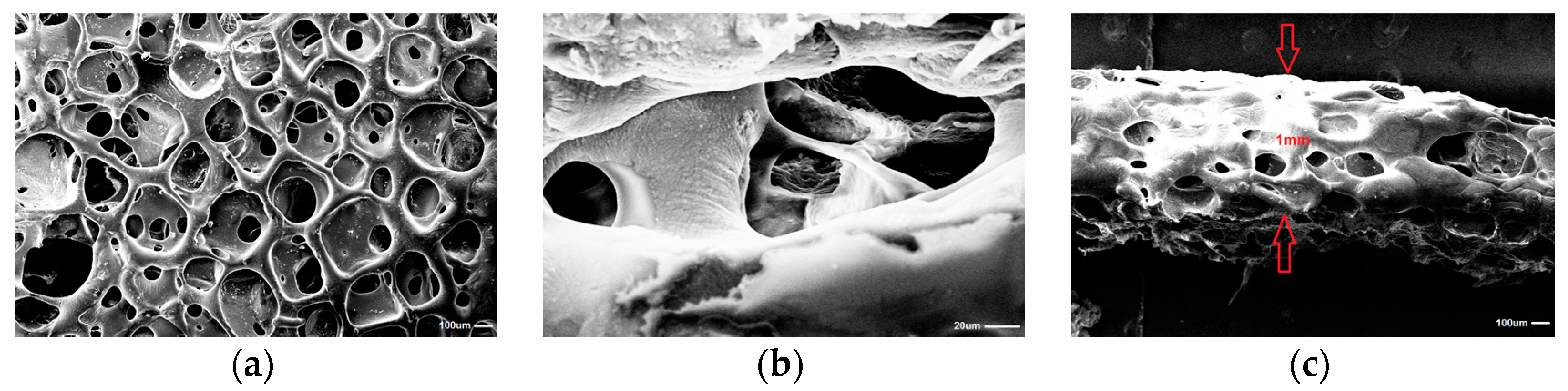 Polymers 09 00277 g005