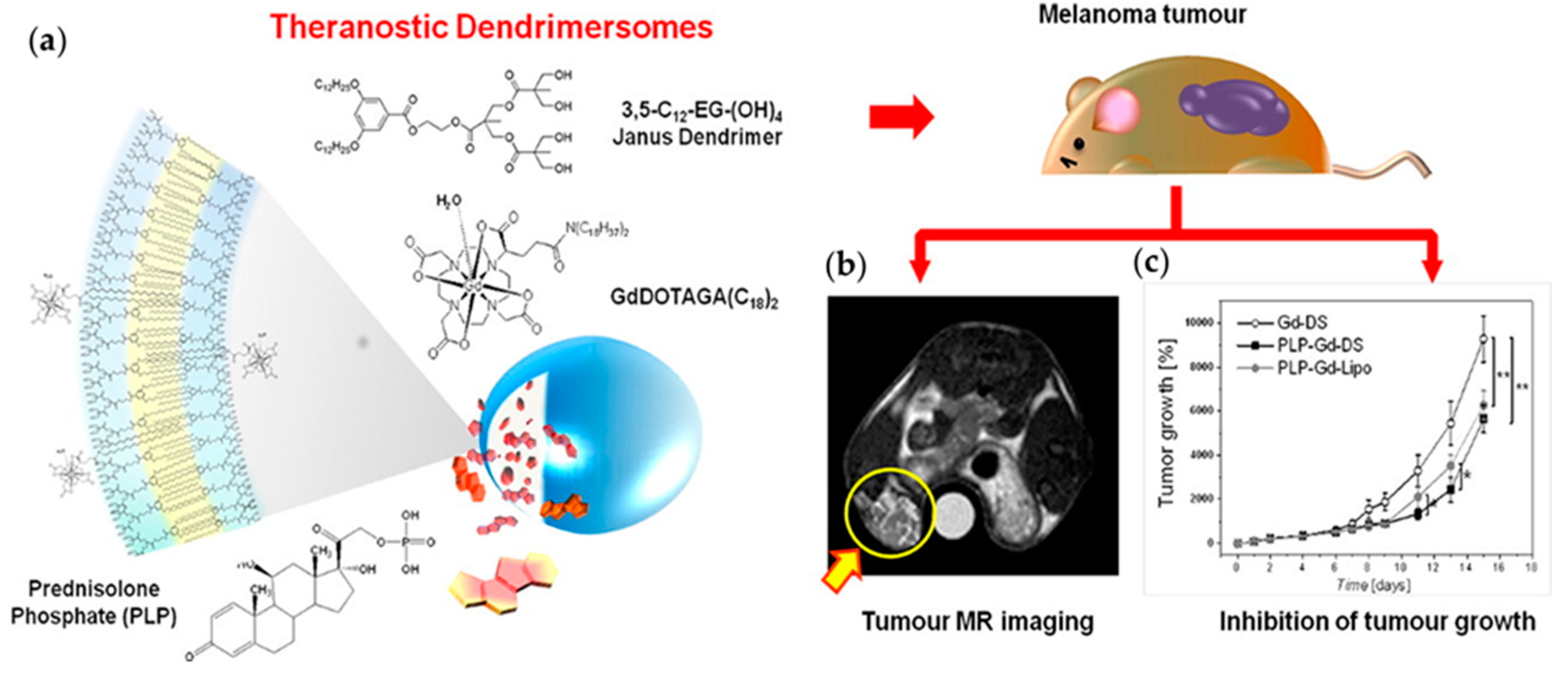 Polymers 09 00280 g014