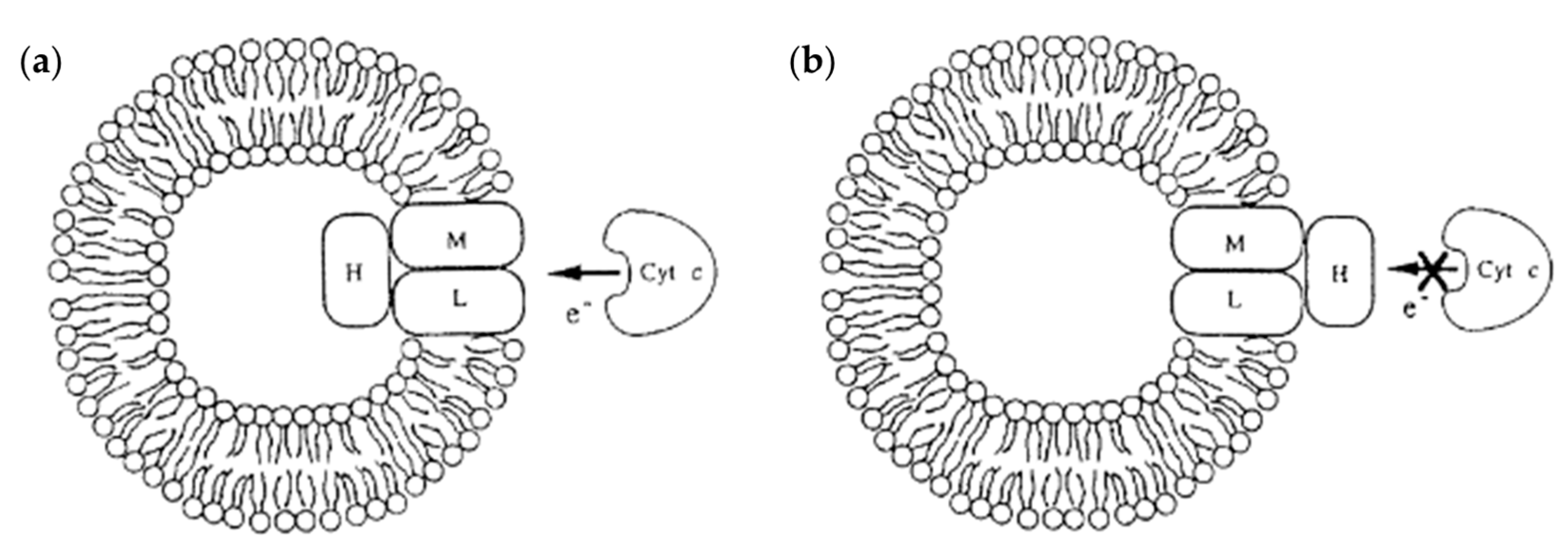 Polymers 09 00280 g016