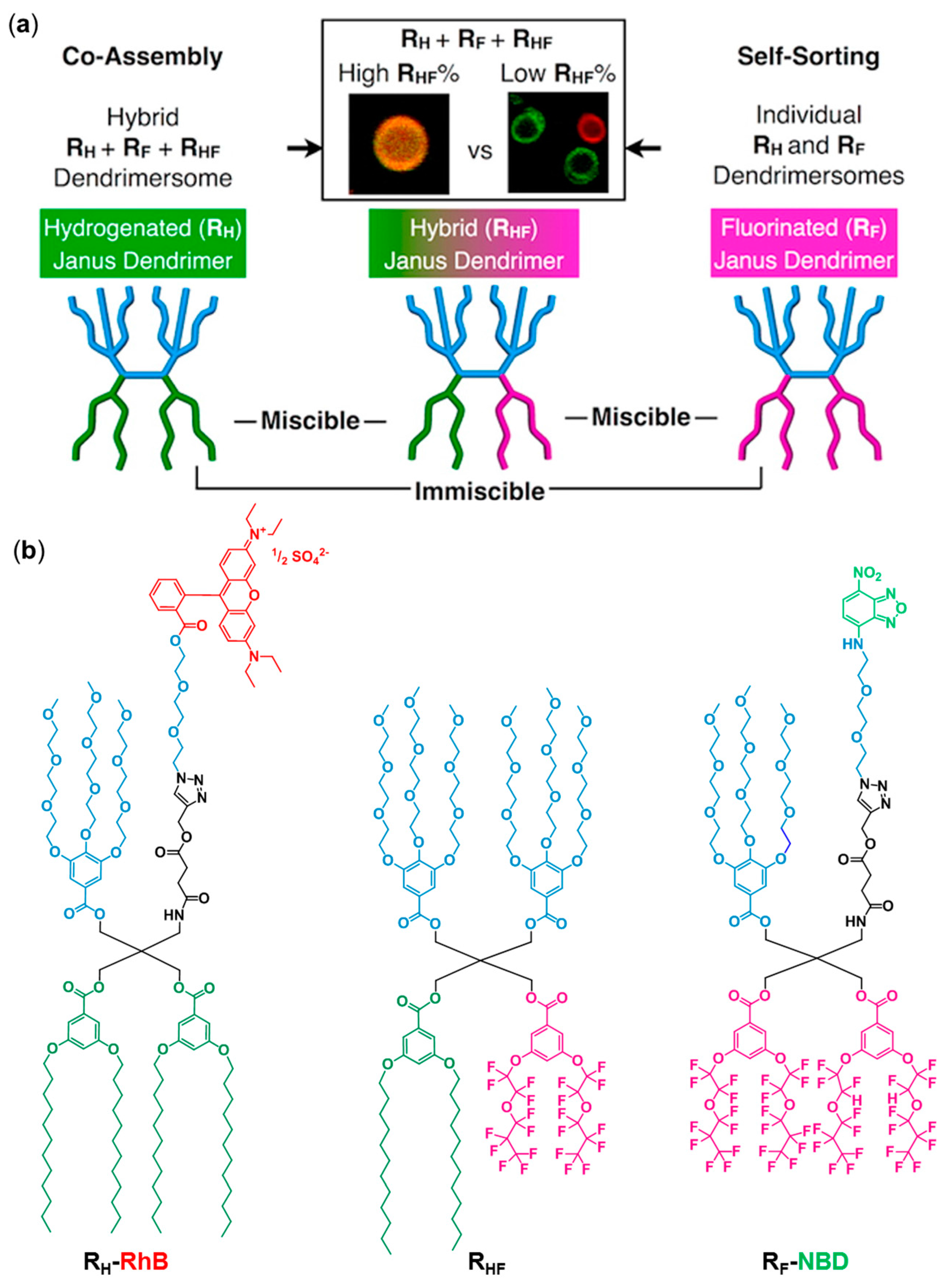 Polymers 09 00280 g018