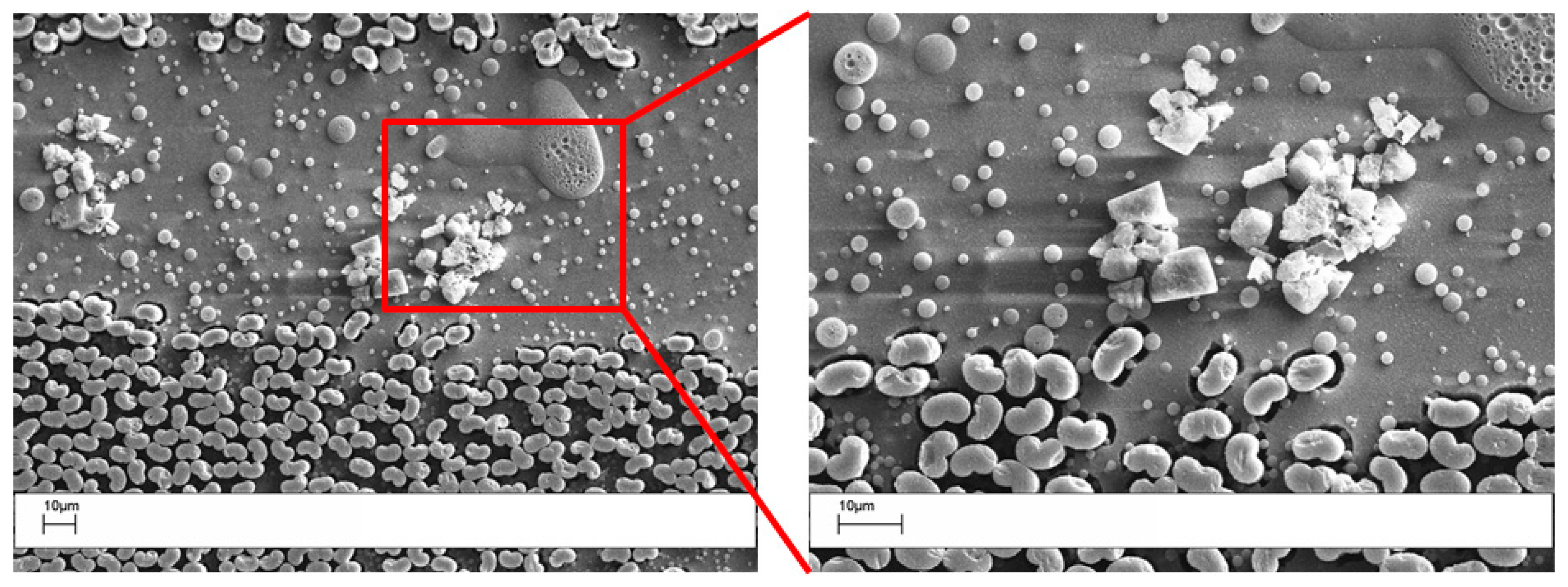 Polymers 09 00281 g009