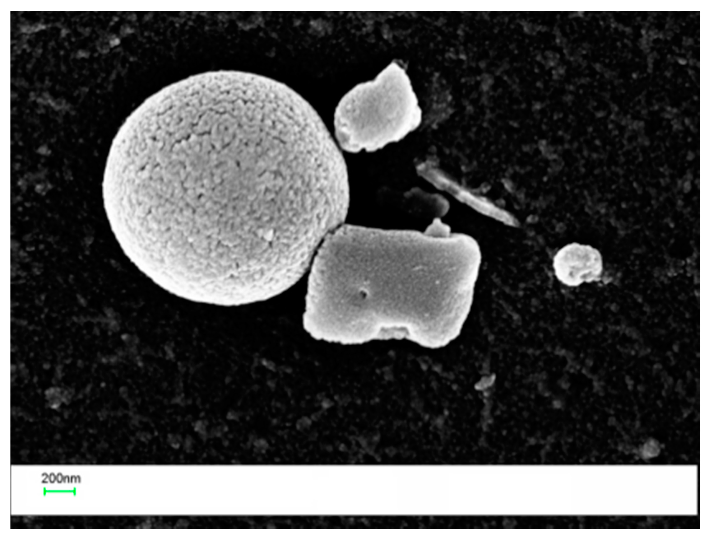Polymers 09 00281 g010