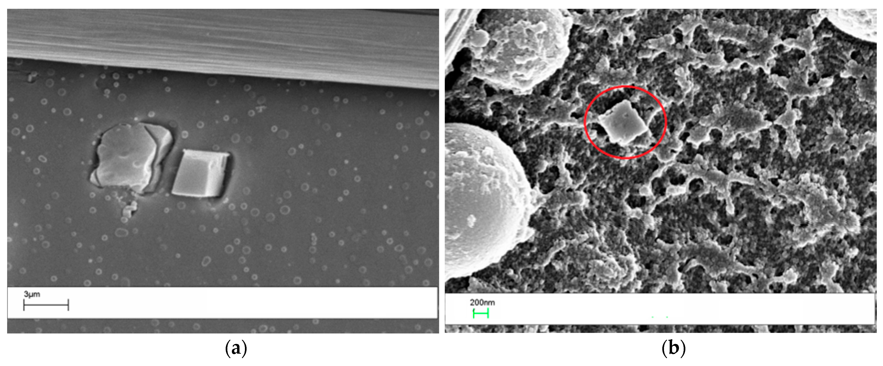 Polymers 09 00281 g012
