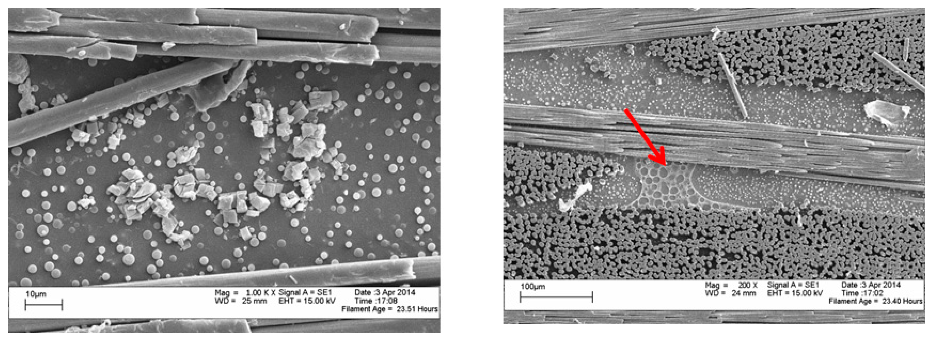 Polymers 09 00281 g013