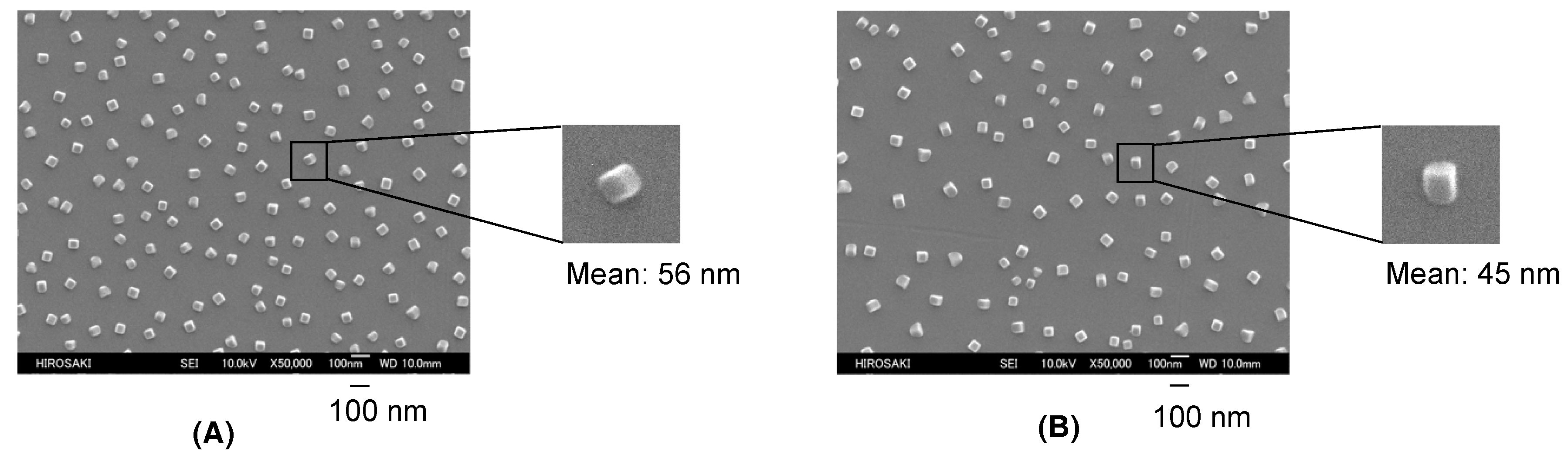 Polymers 09 00292 g001 550