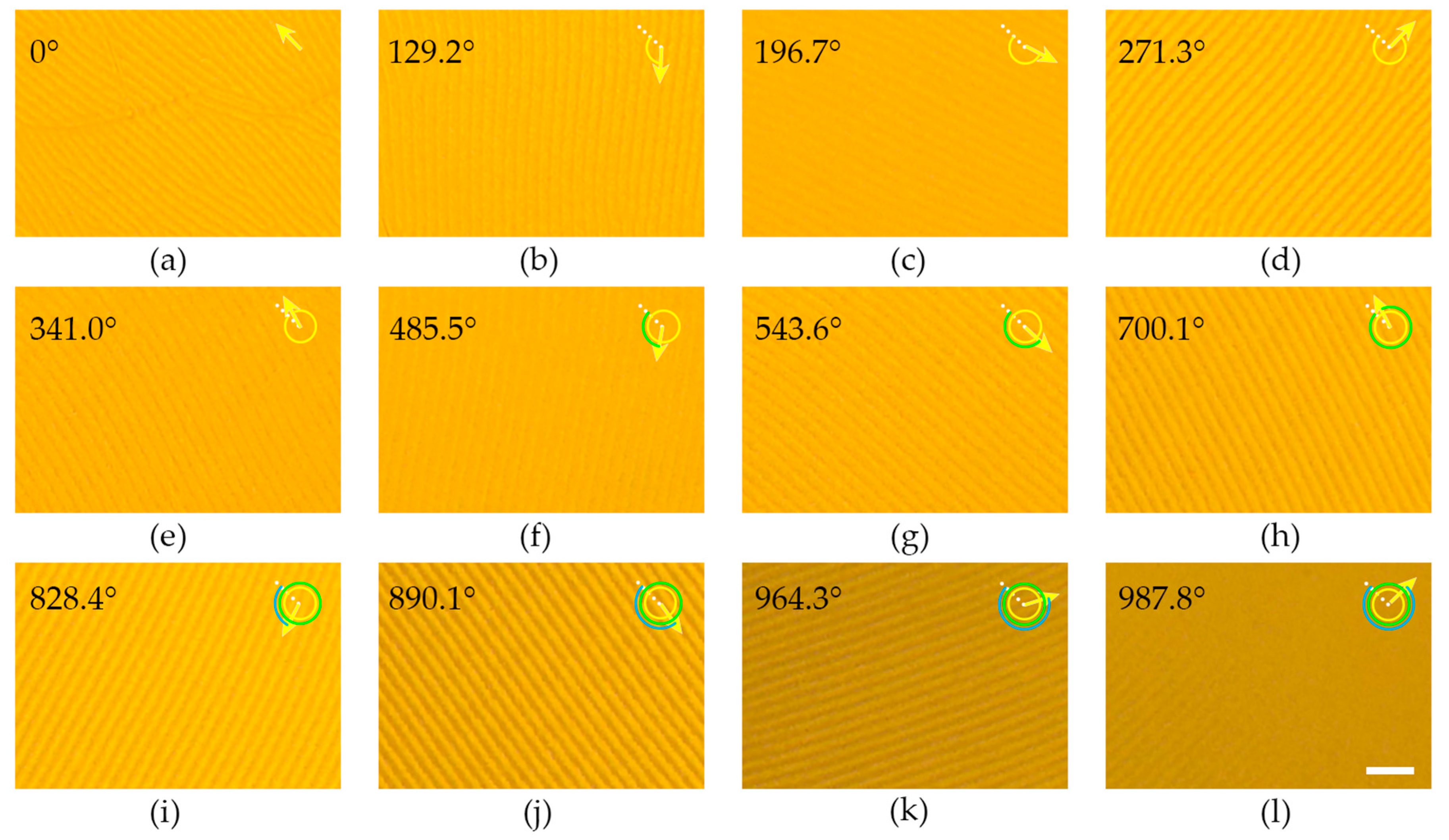 Polymers 09 00295 g002