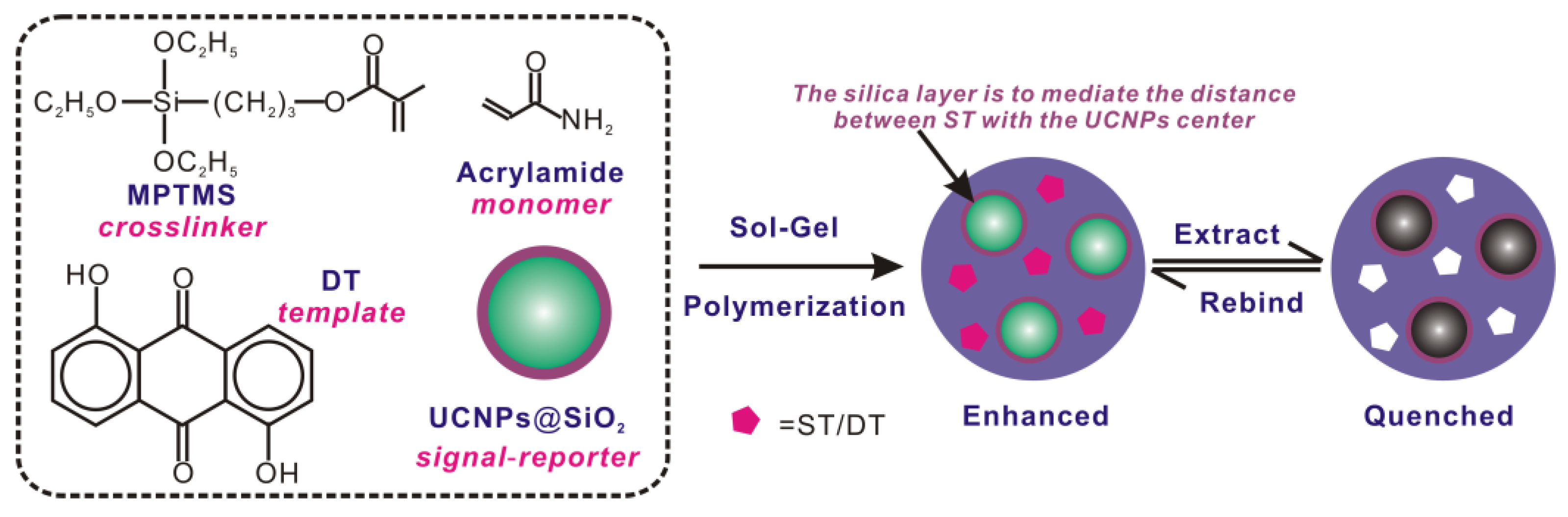 Polymers 09 00299 g001 550