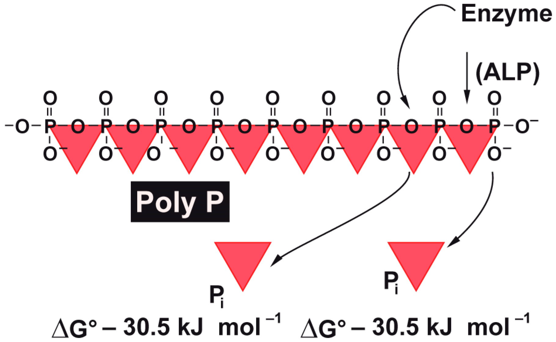 Polymers 09 00300 g001