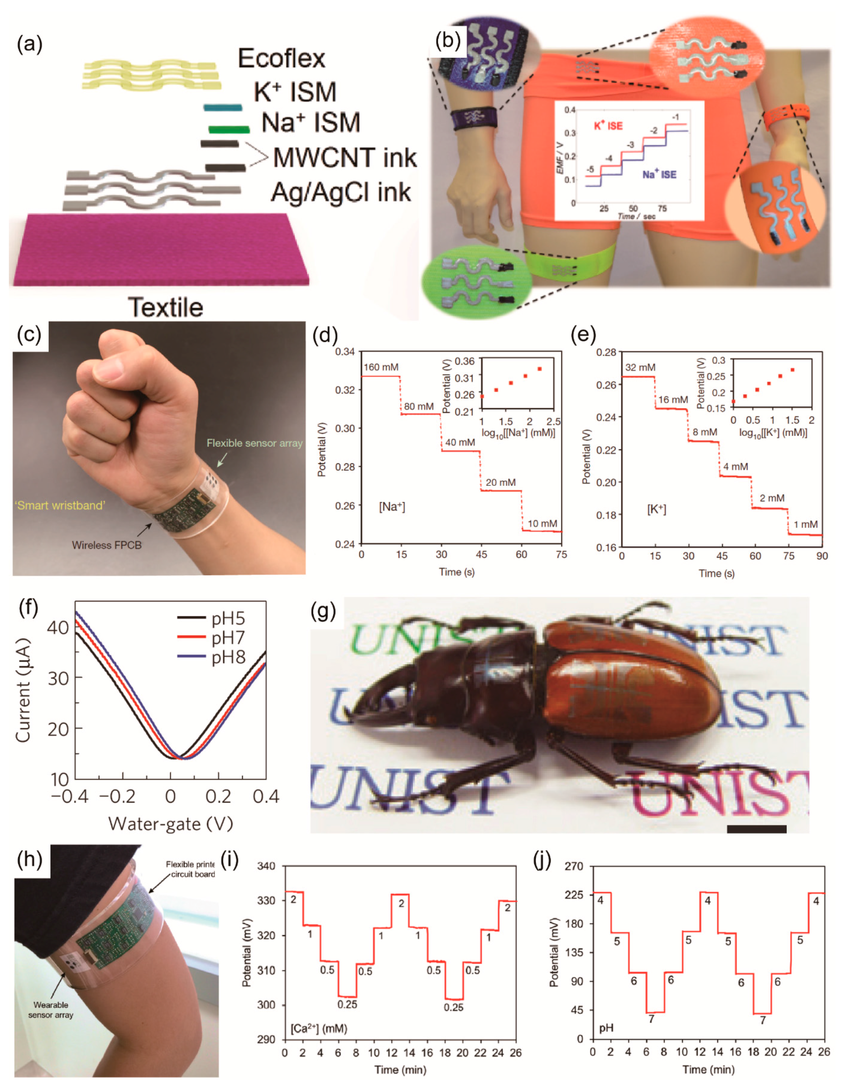 Polymers 09 00303 g005
