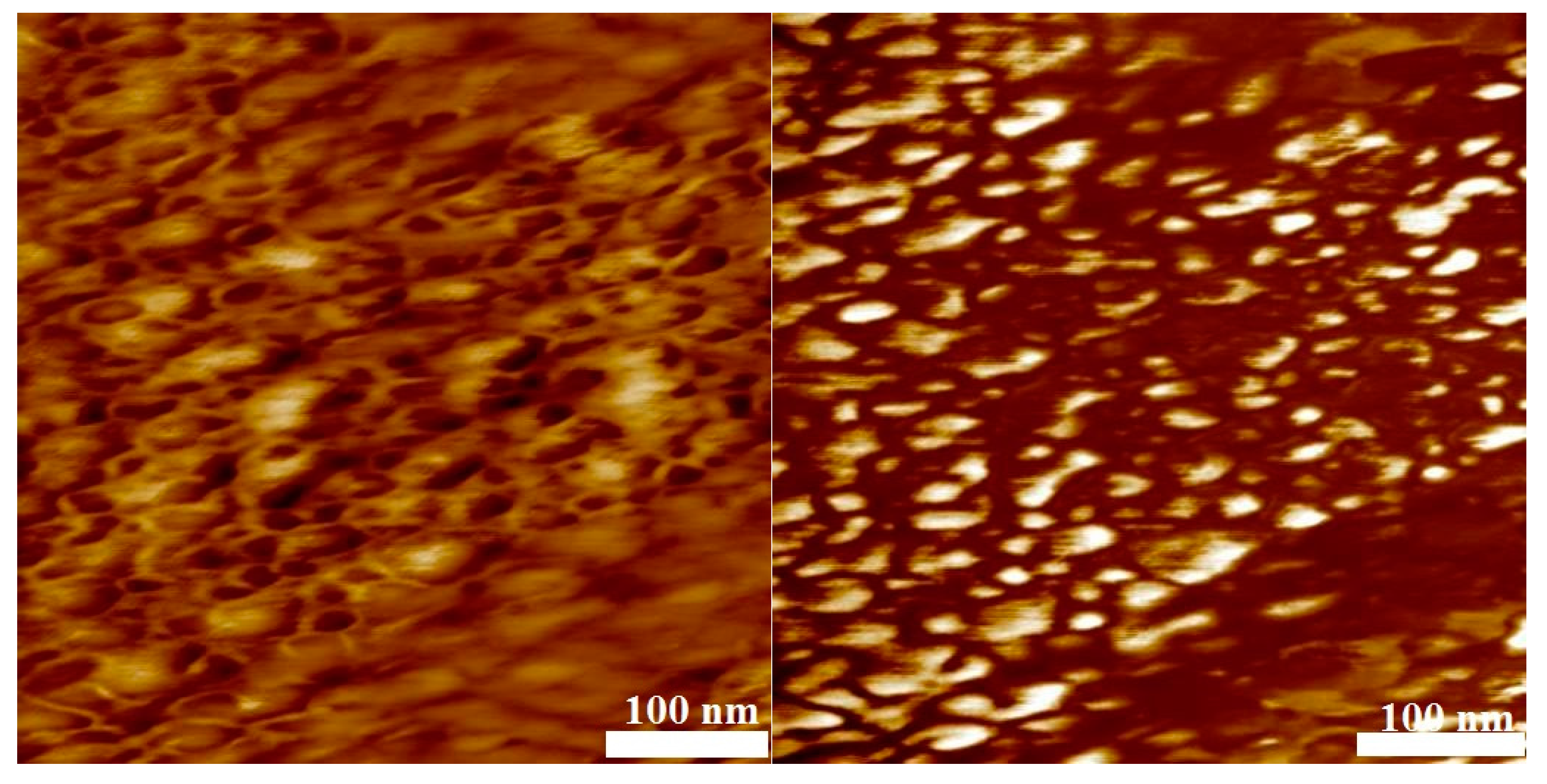 Polymers 09 00306 g010