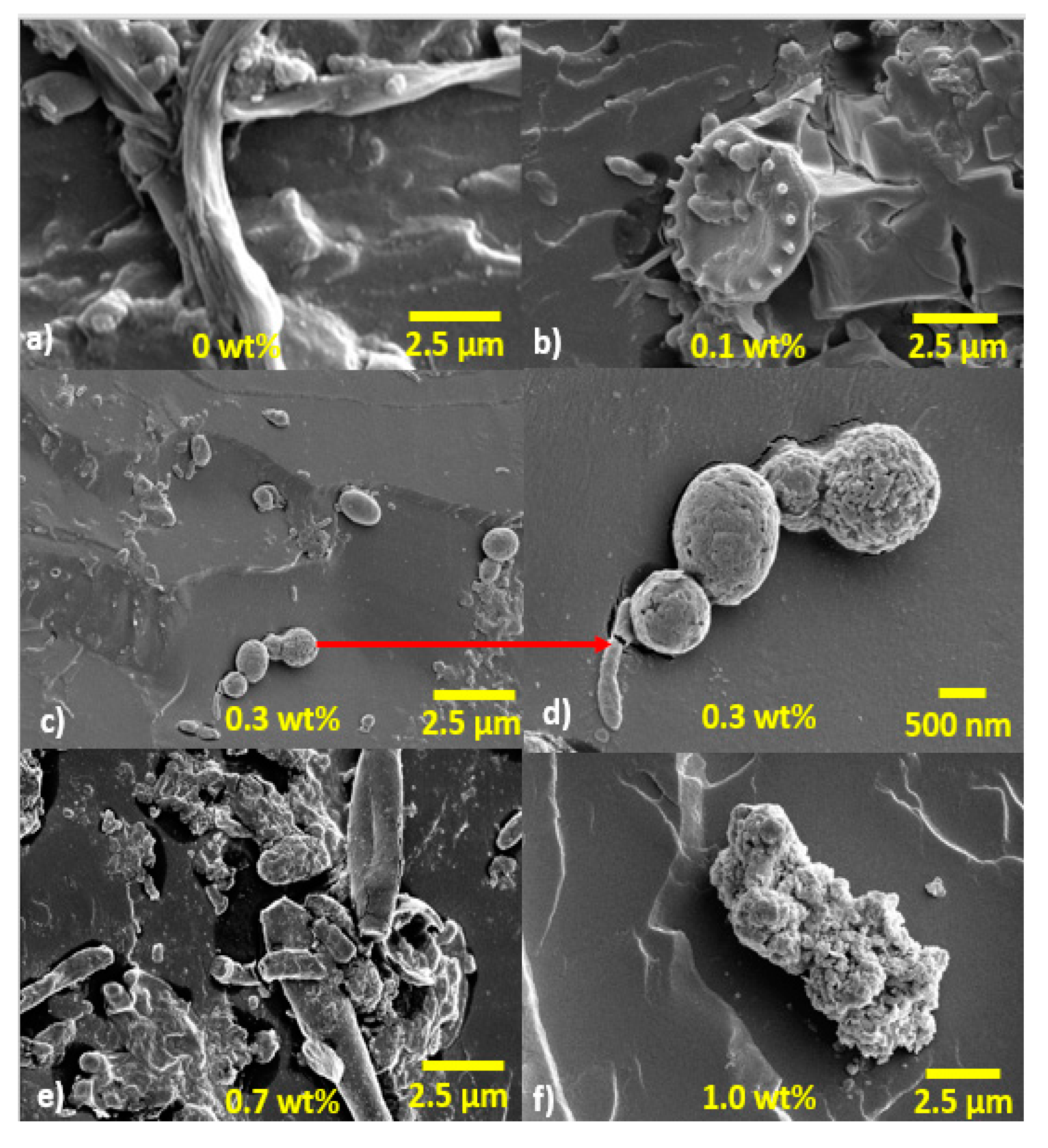 Polymers 09 00314 g007